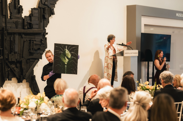 Asheville Art Museum Gala