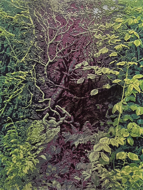 Opening Reception: Bradlee Shanks