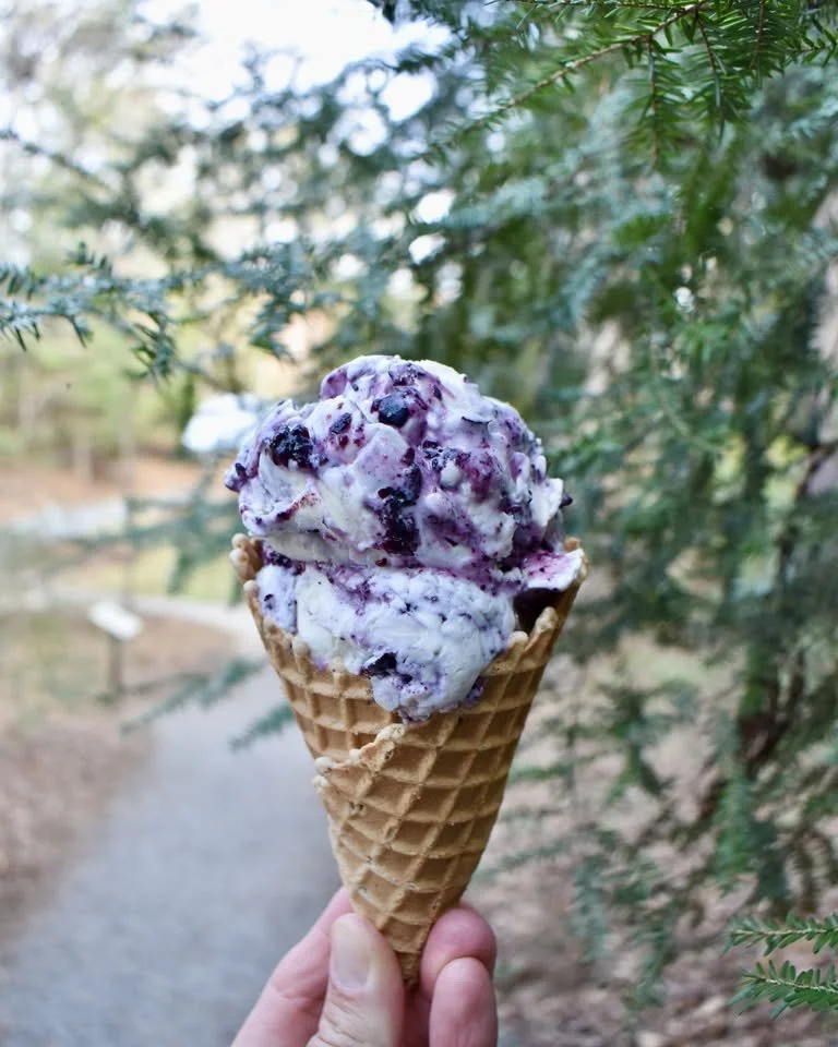 Berry In the Pines Ice Cream Release