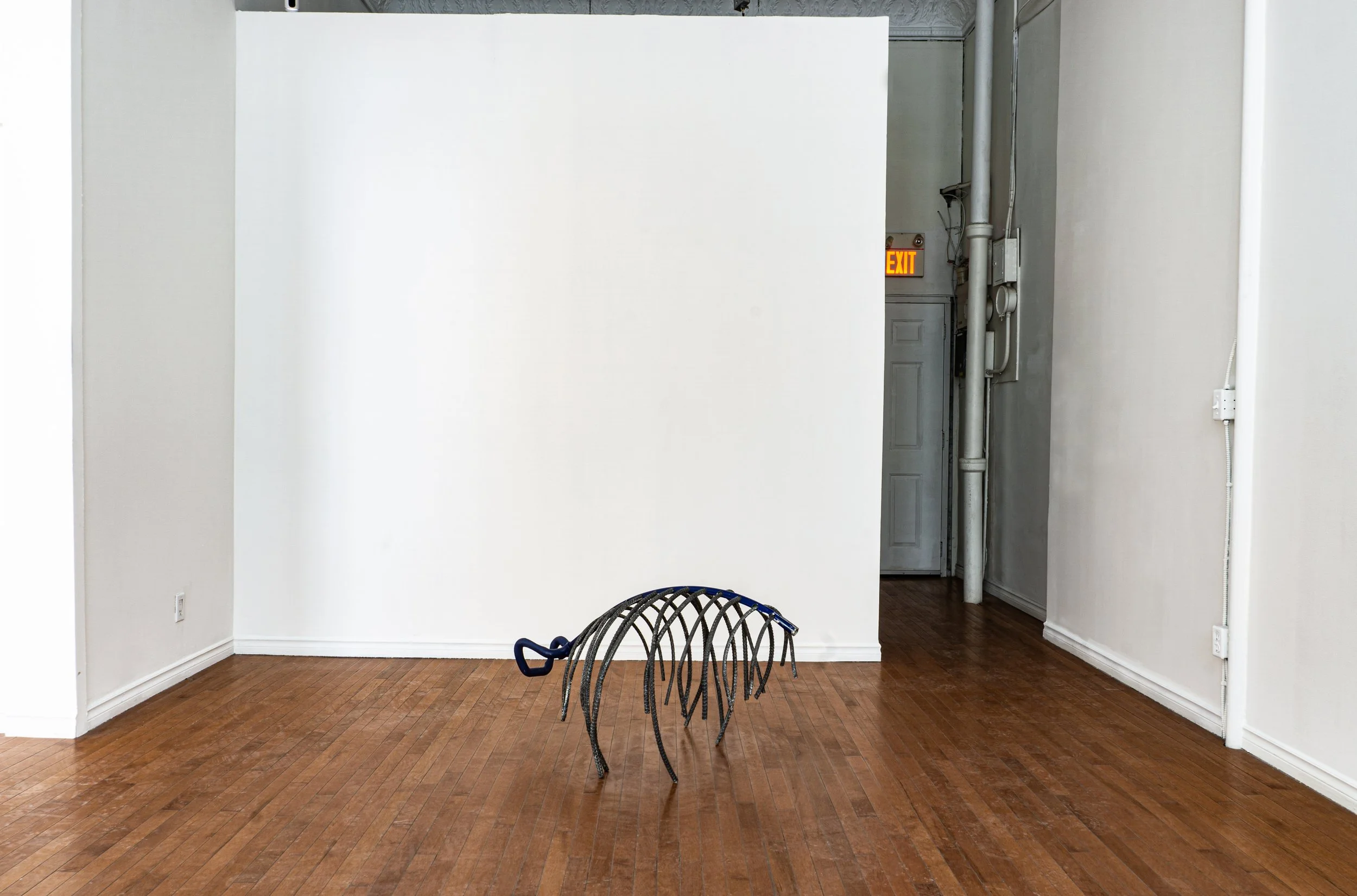 8_Passage Documentation_StrideGallery2024.jpg