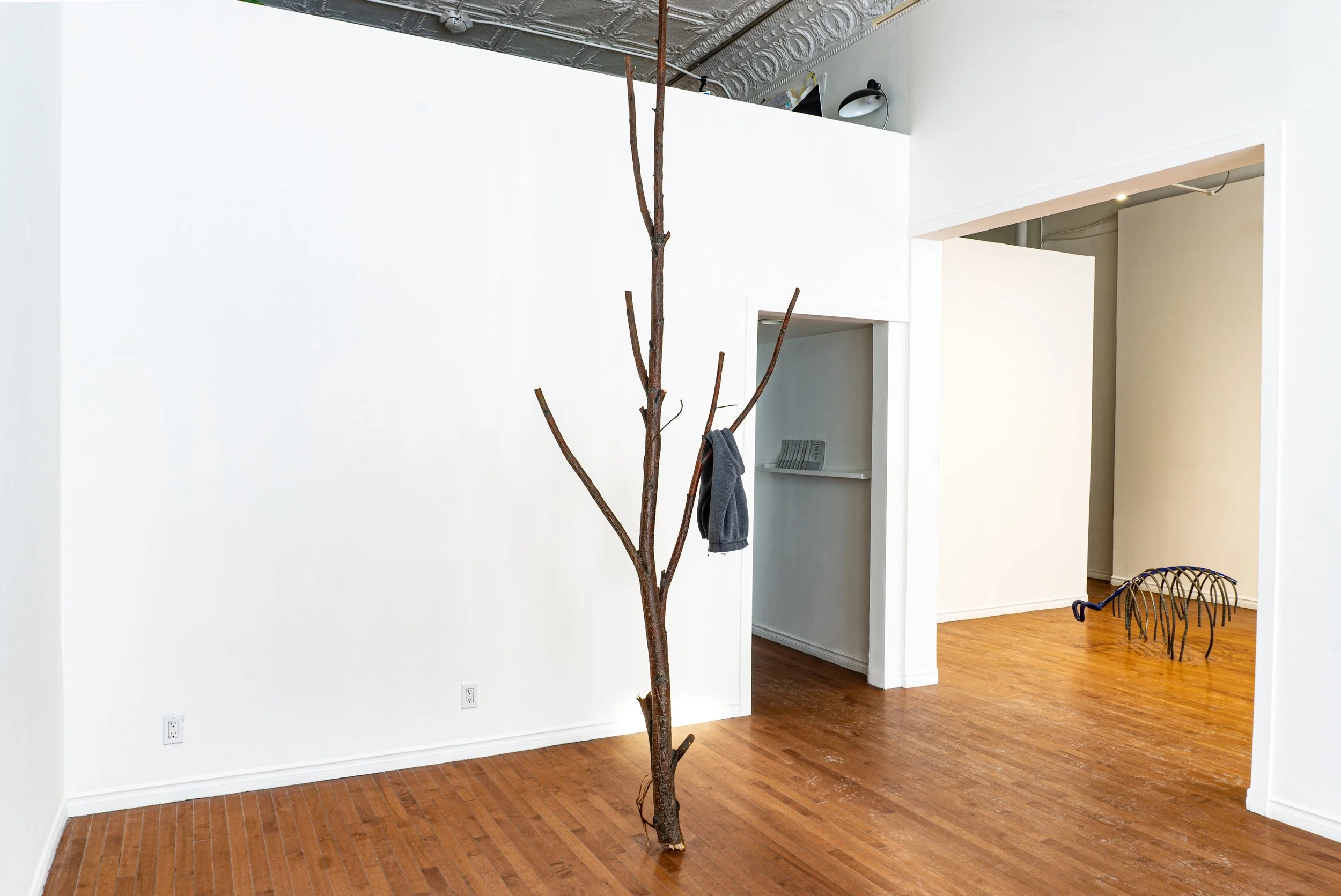 4_Passage Documentation_StrideGallery2024.jpg