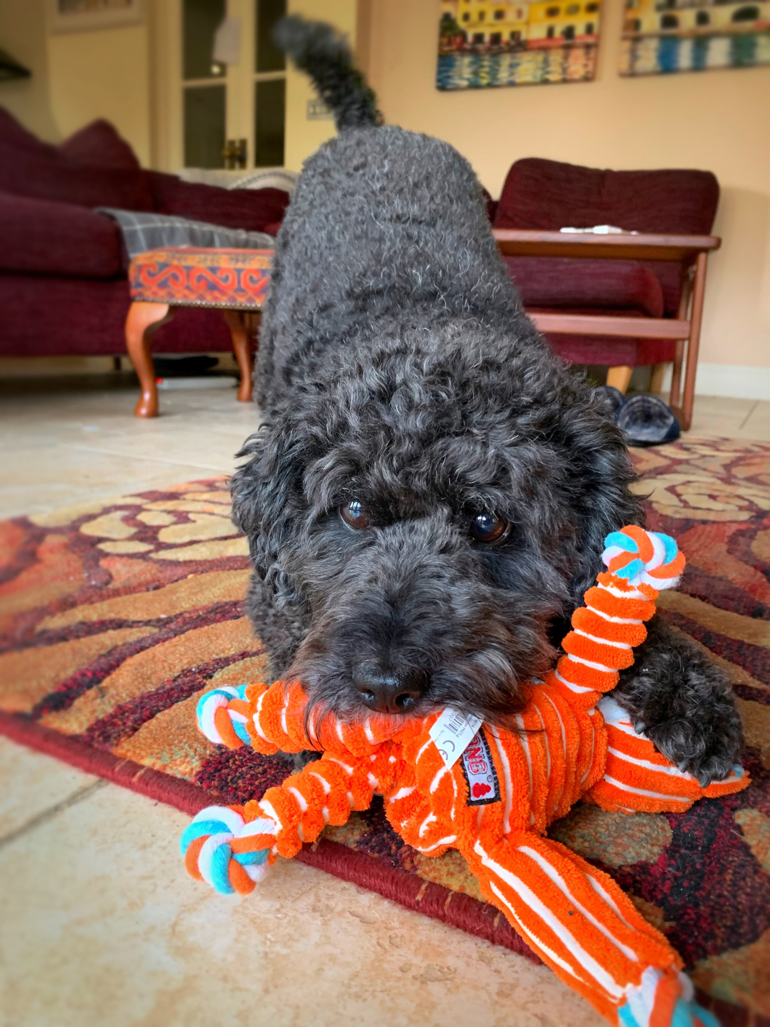 IMG_3471_Facetune_05-12-2019-11-18-12[3210].jpg