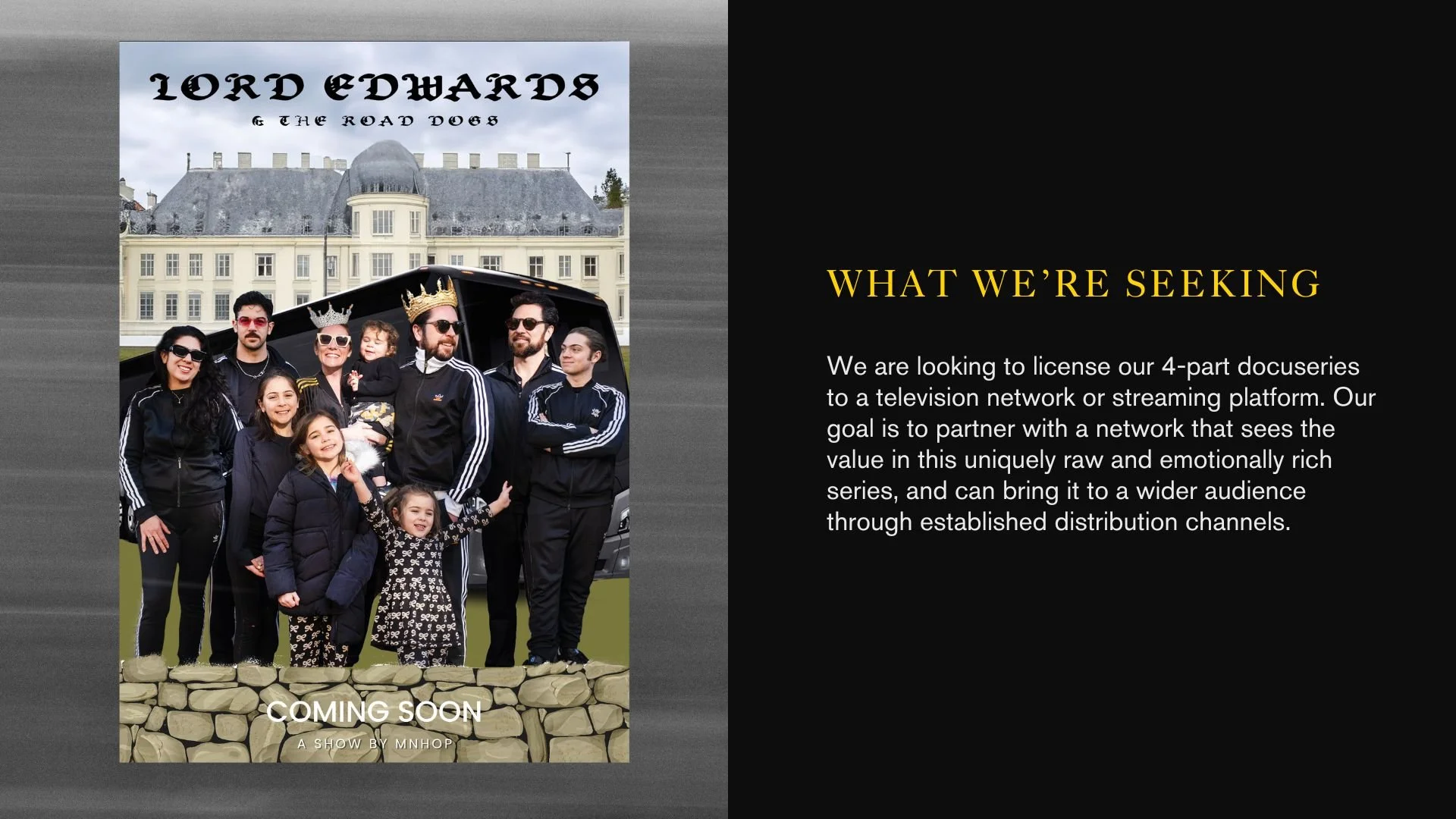 TV and Film Pitch Deck Presentation in Dark Blue Yellow Indie  Style (3).jpg