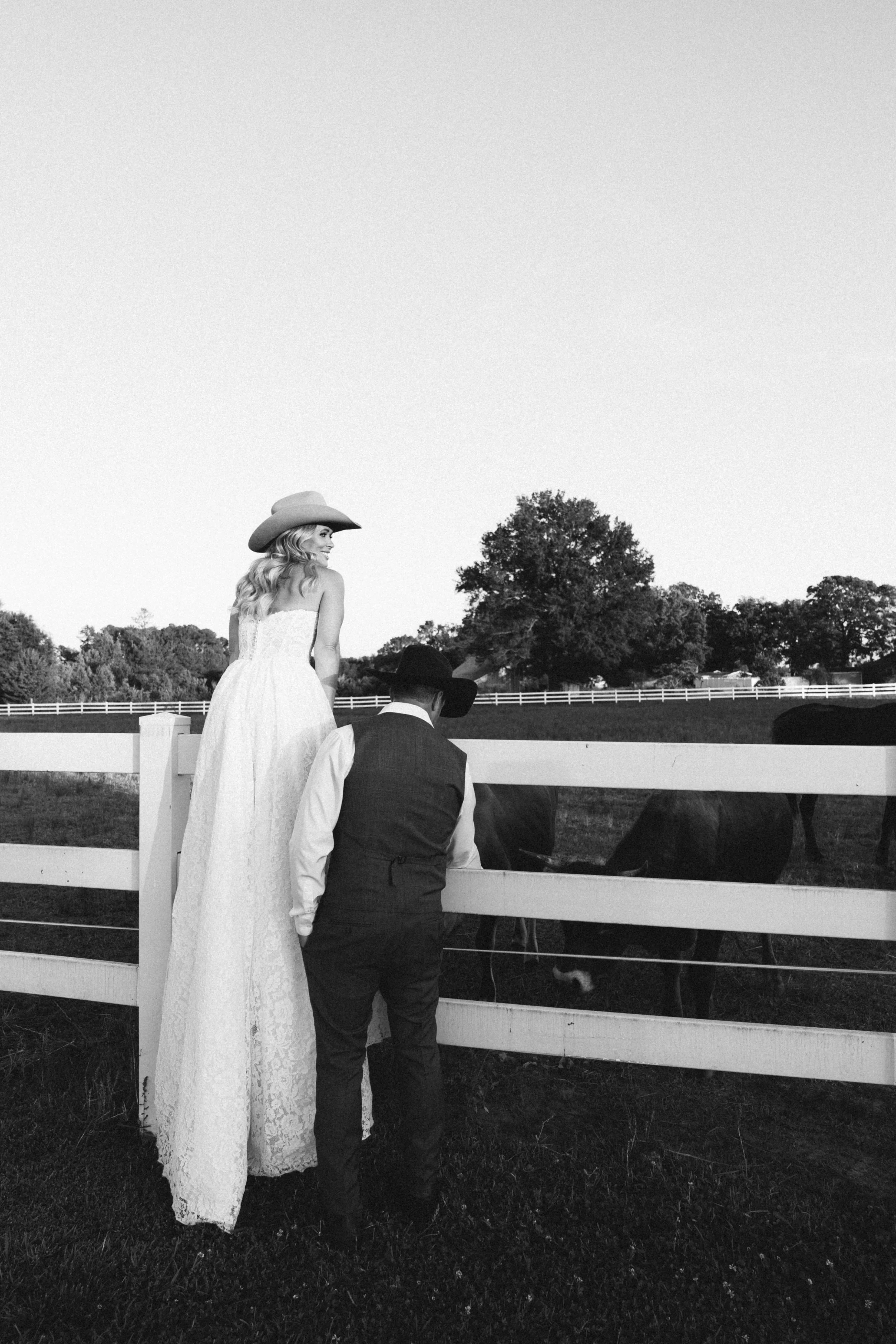bridal portrait horses and cows suenos casa jk nc wedding venue