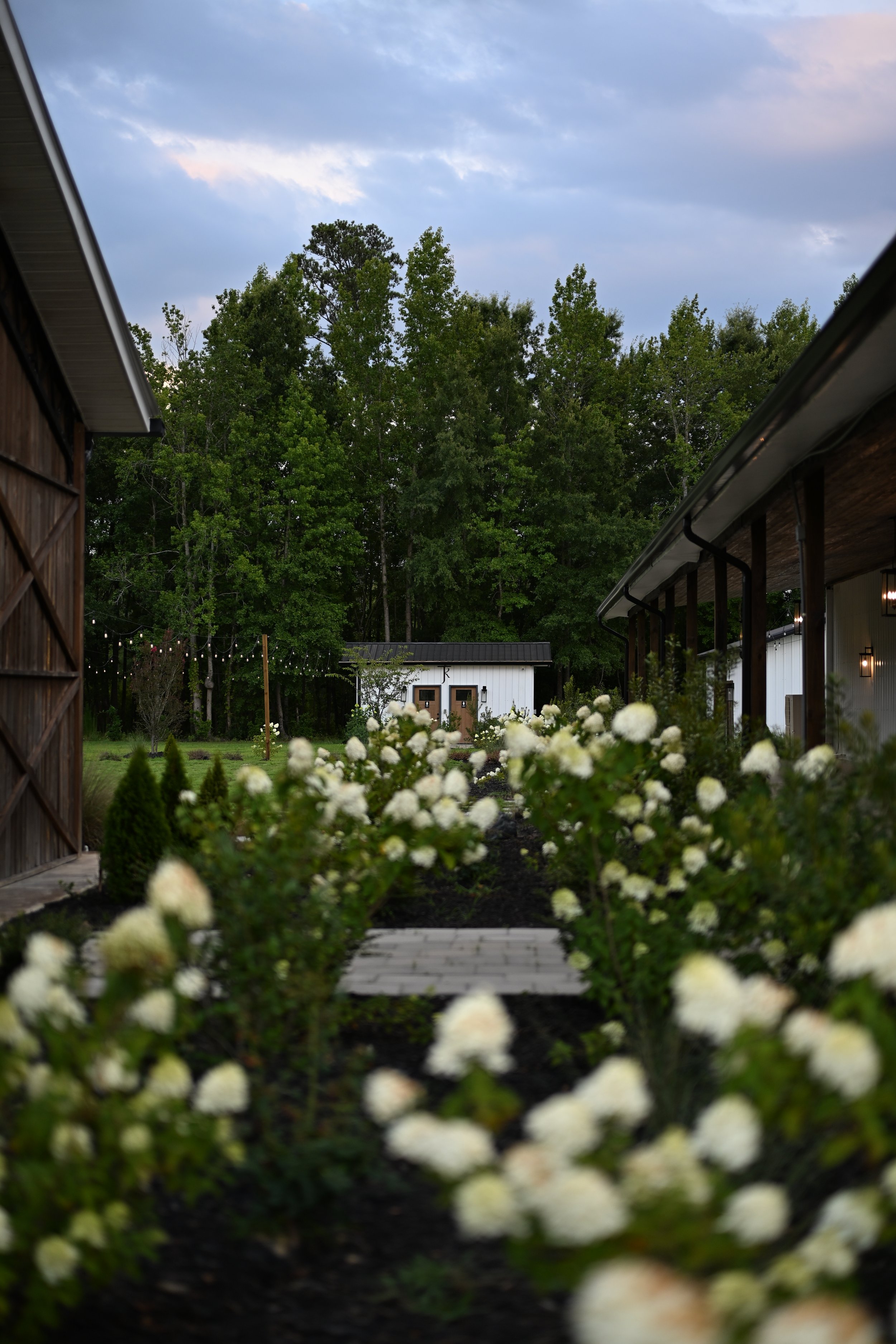 DSC_0777.JPG