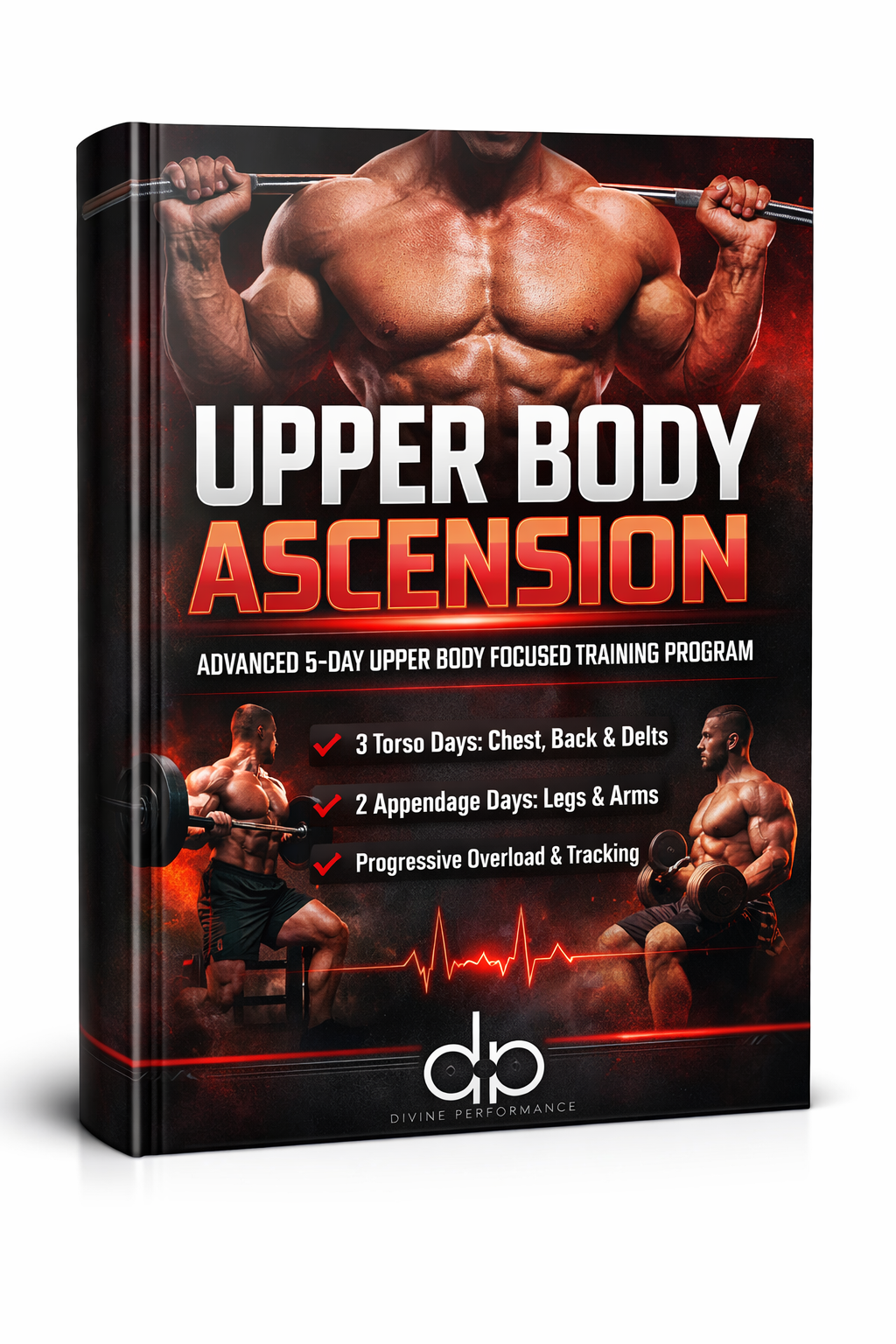 Upper Body Ascension (5x/Week)