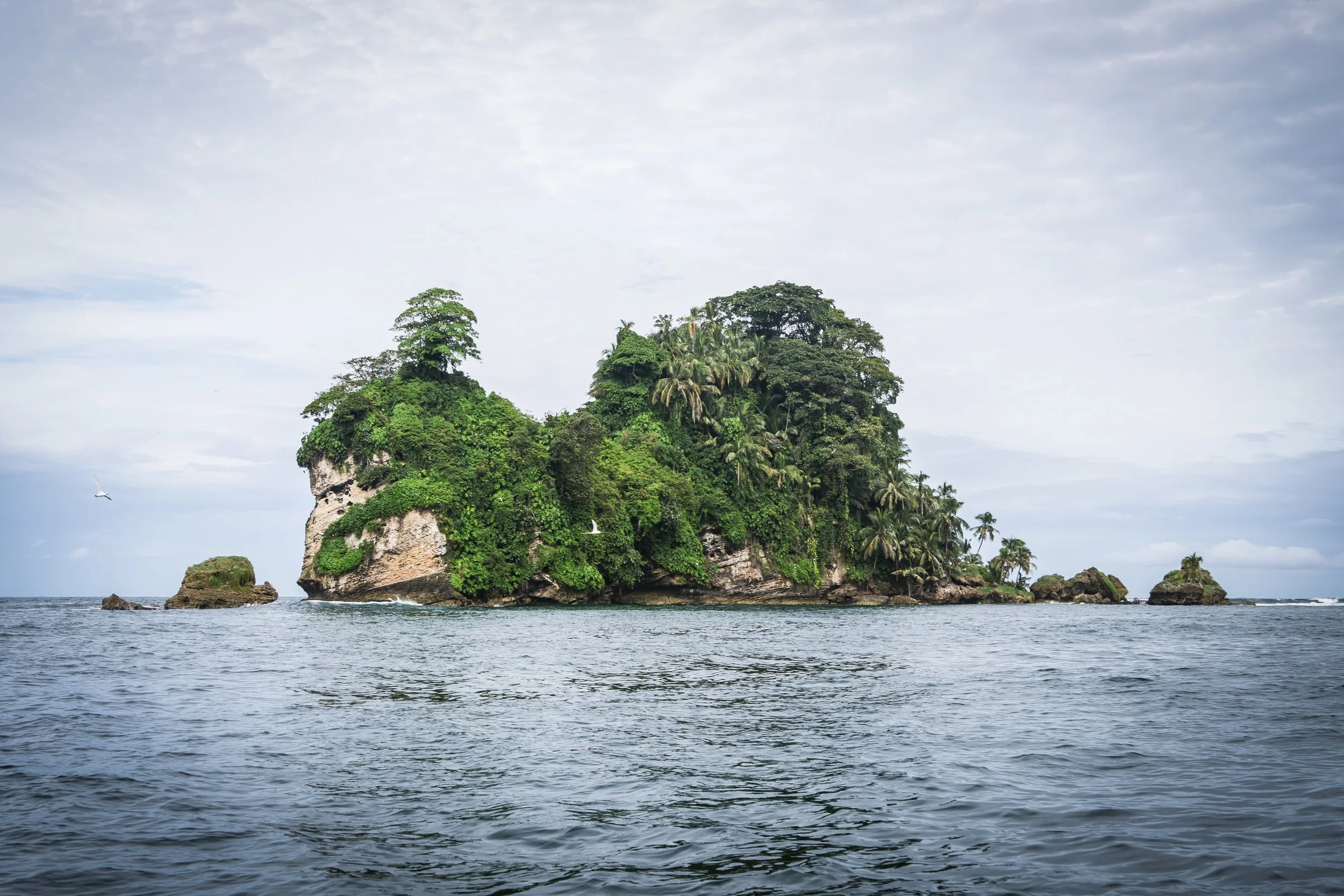 115A7923 (1).jpg