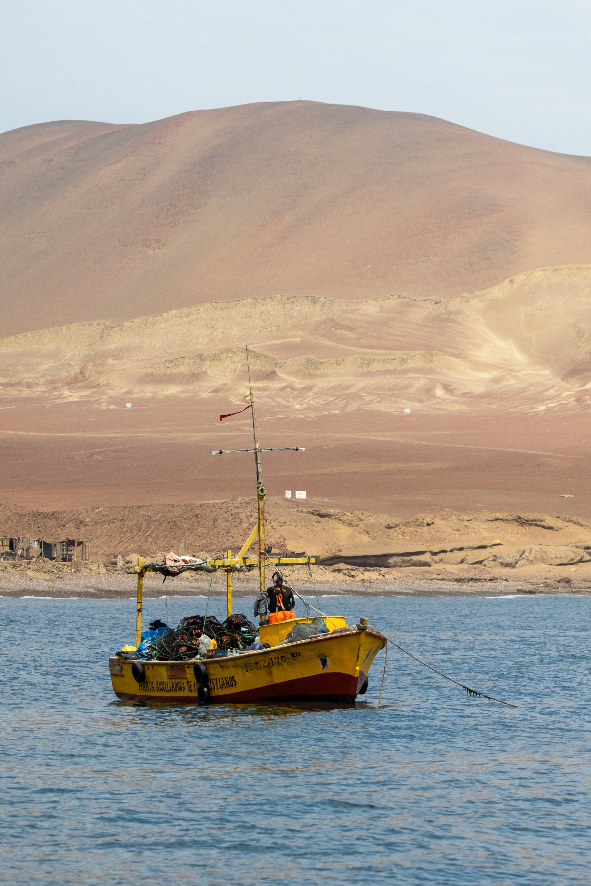 Local fishermen