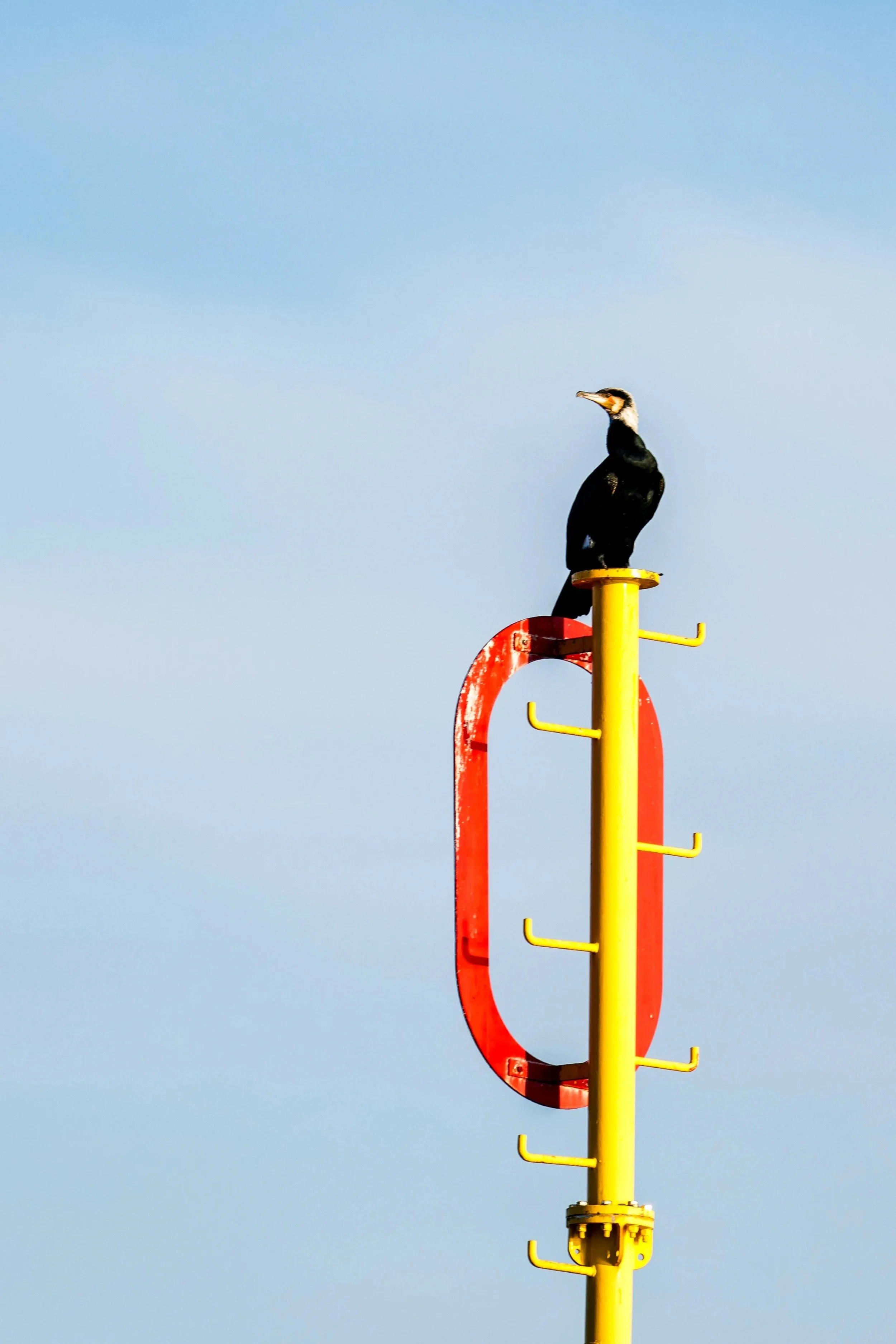 A bird perched on a yellow pole with a red structural element against a blue sky background.