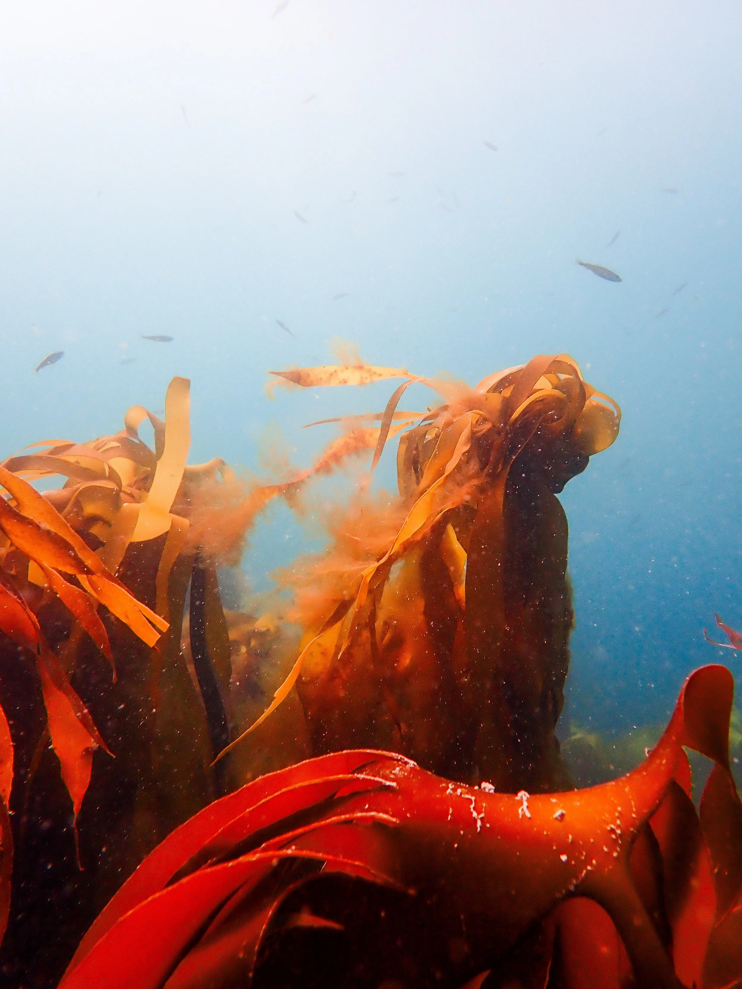 P6240107.jpg
