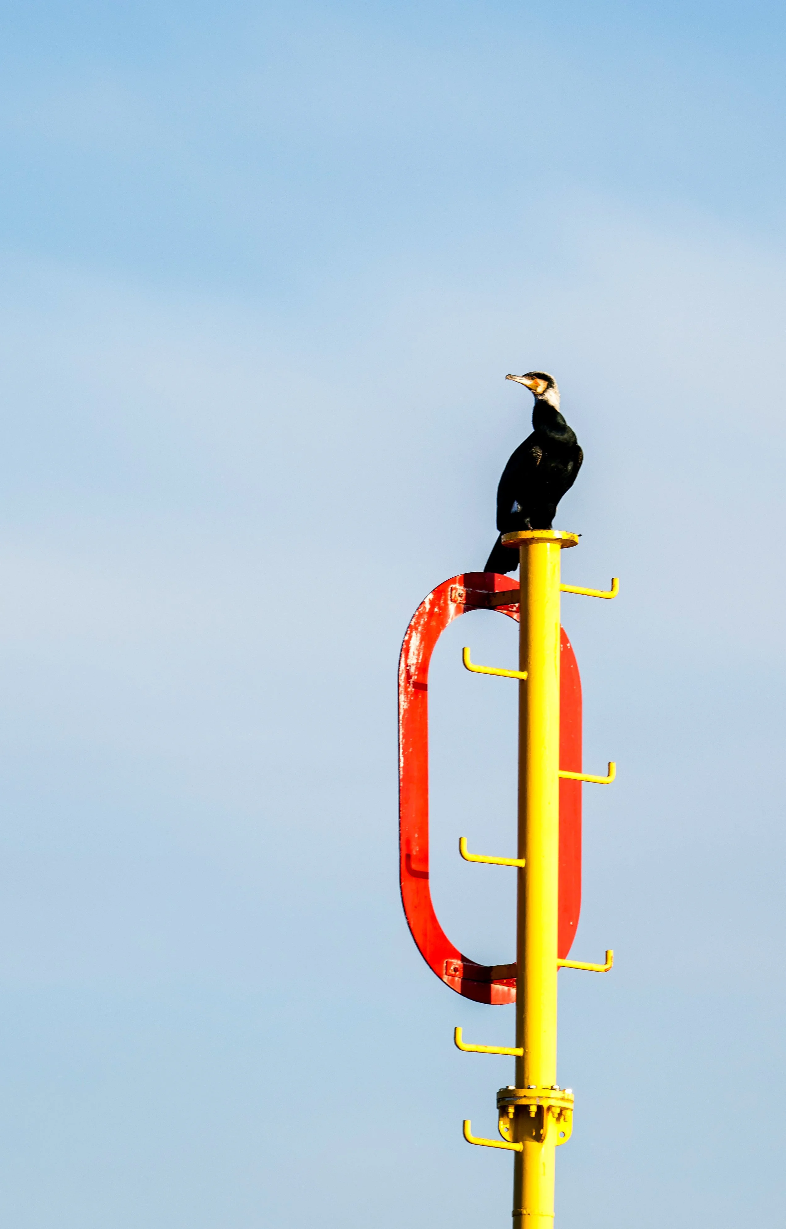 A bird perched on a yellow pole with a red structural element against a blue sky background.
