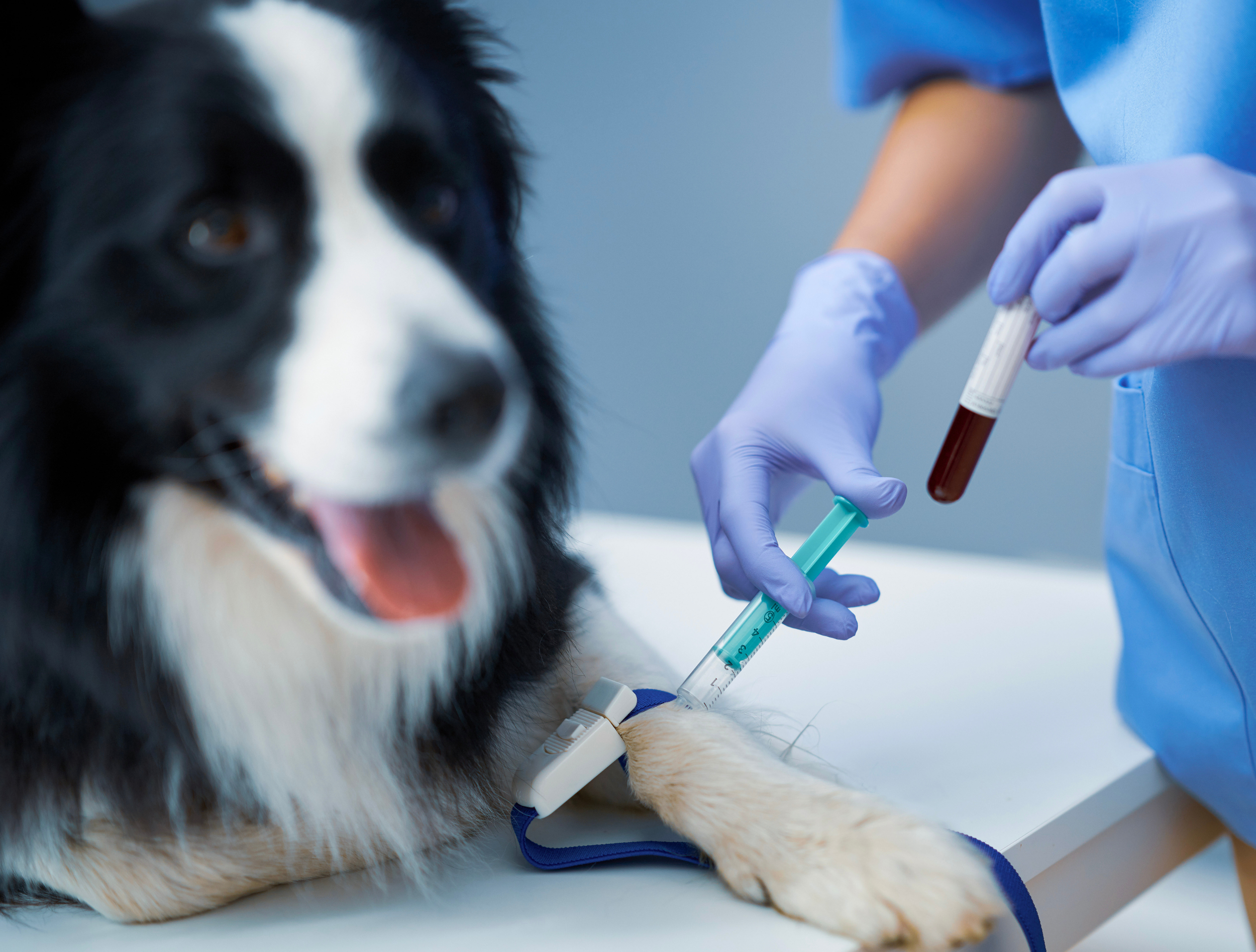 Untitled design-29.png