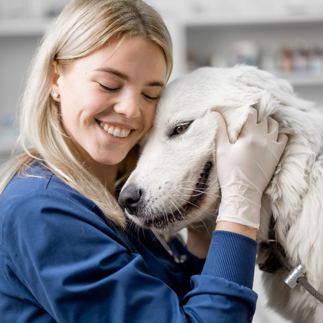 COMMUNITY VETERINARIAN NETWORK (9).png