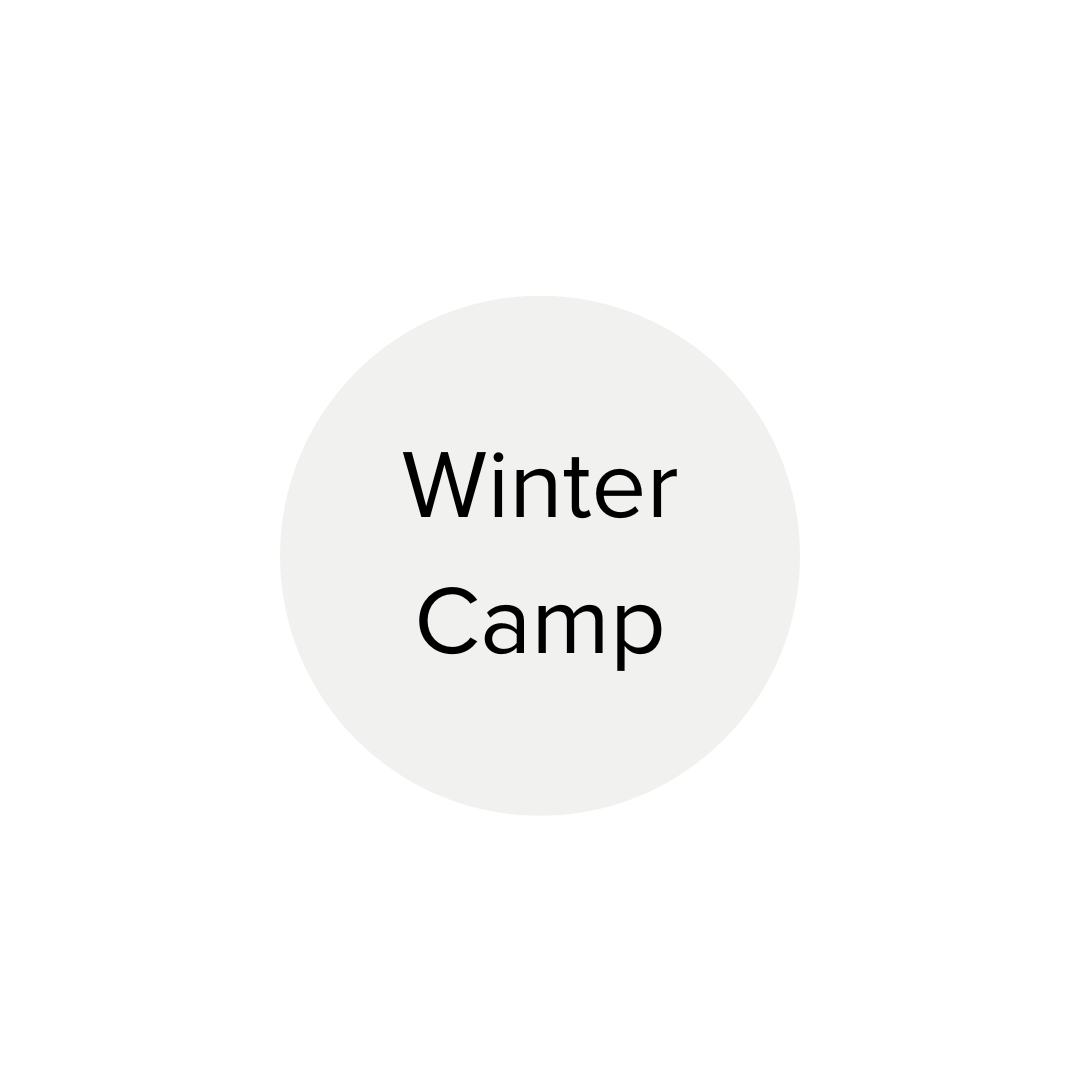 logo.png (Copy)