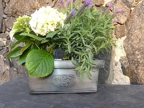 Blumenkasten_vorne.jpg