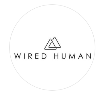 Logo with text 'Wired Human' and abstract triangle design above.