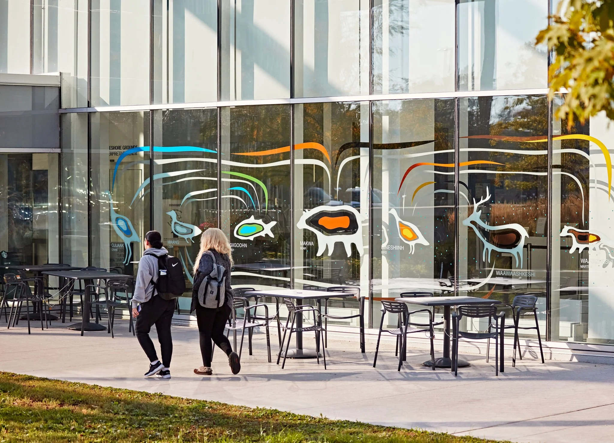 Indigenous Cultural Markers Painted Windows