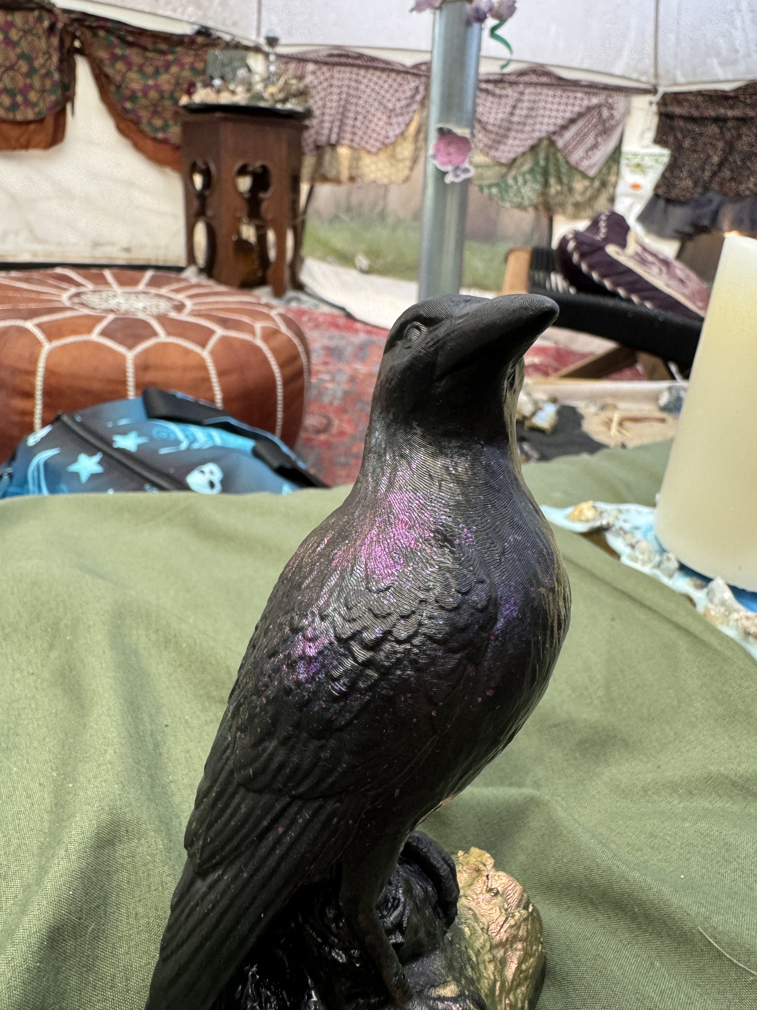 IMG_7298.jpeg