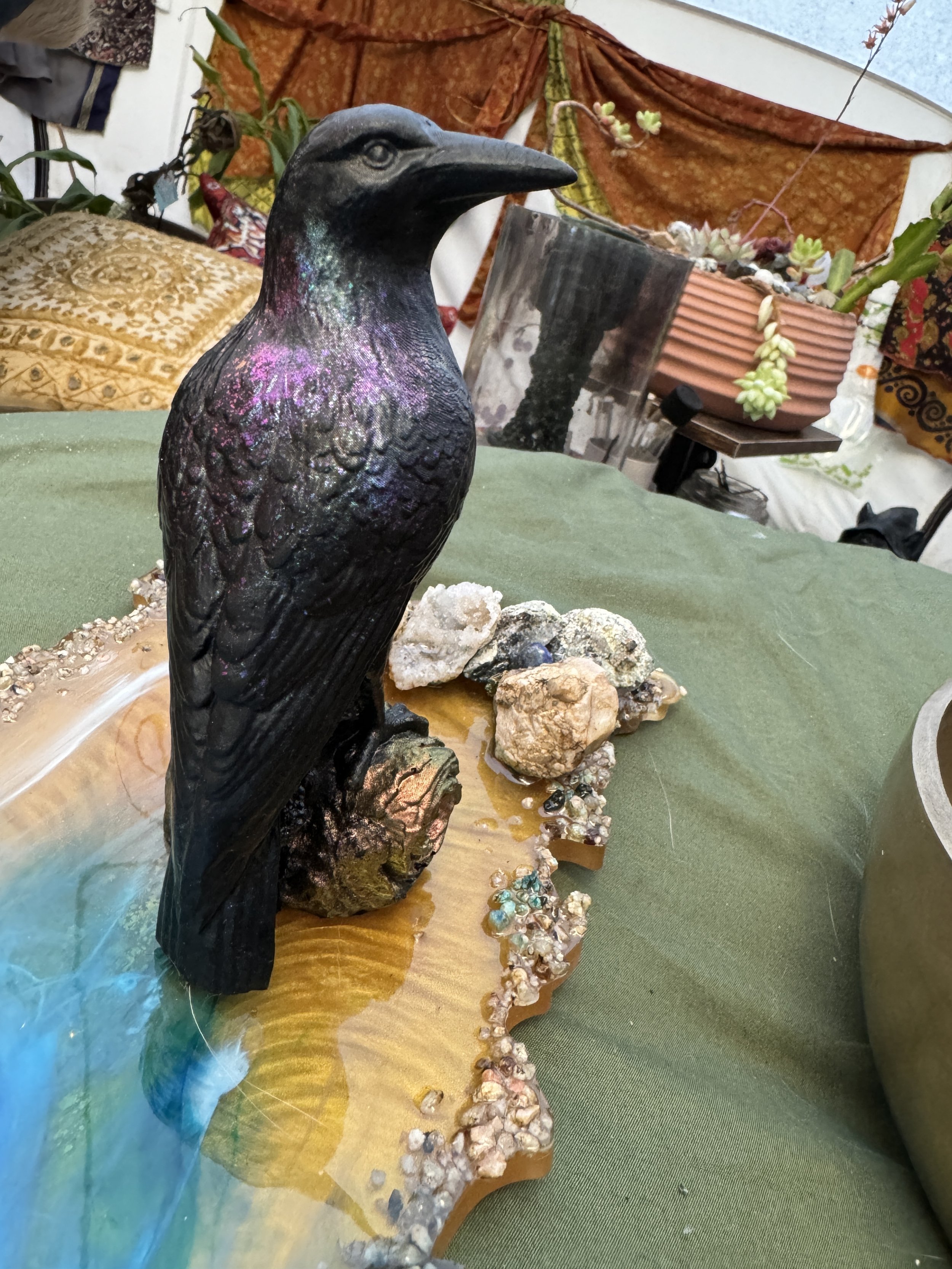 IMG_7081.jpeg