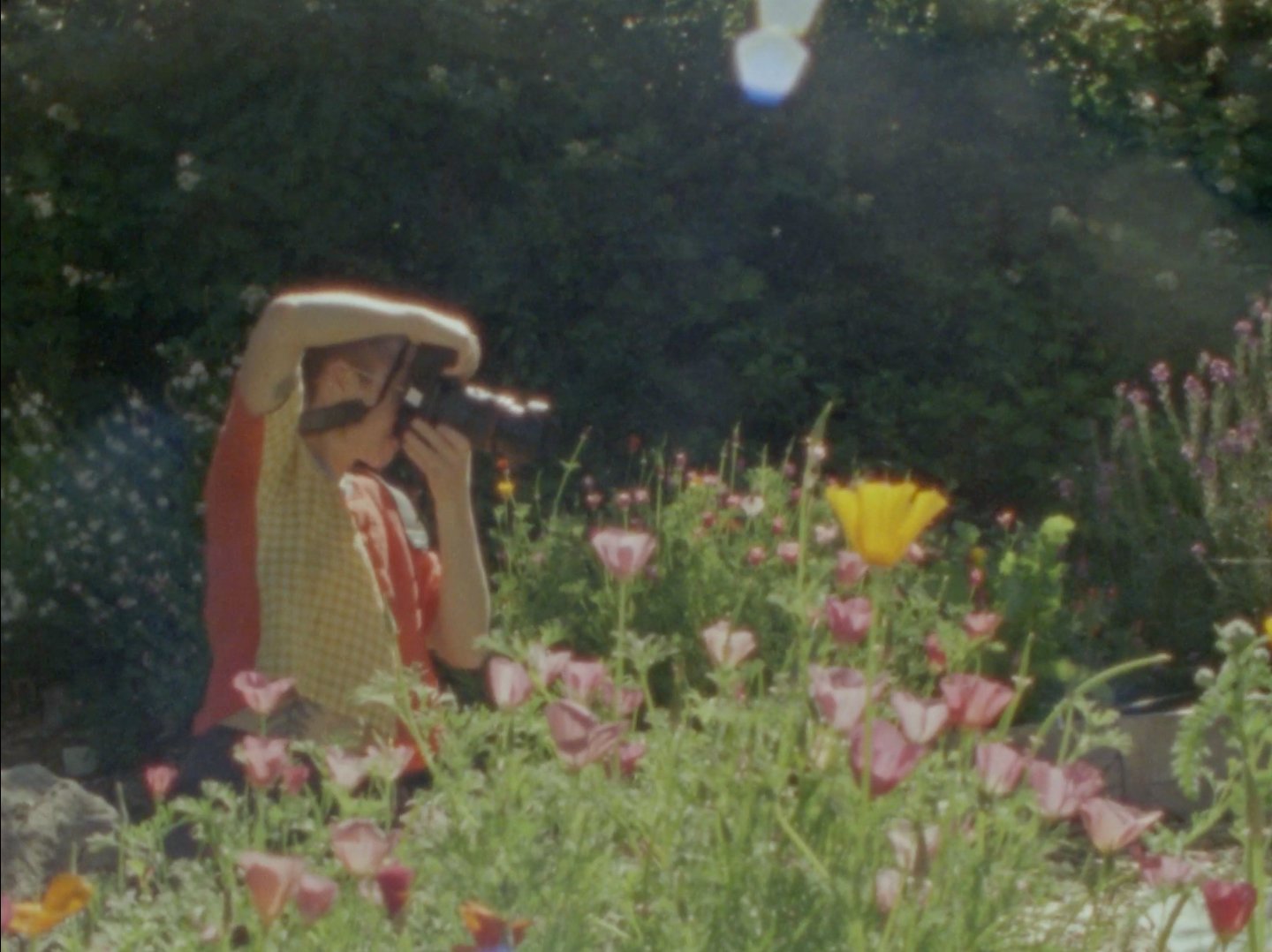 A person using a camera to take a photograph among colorful flowers in a garden.