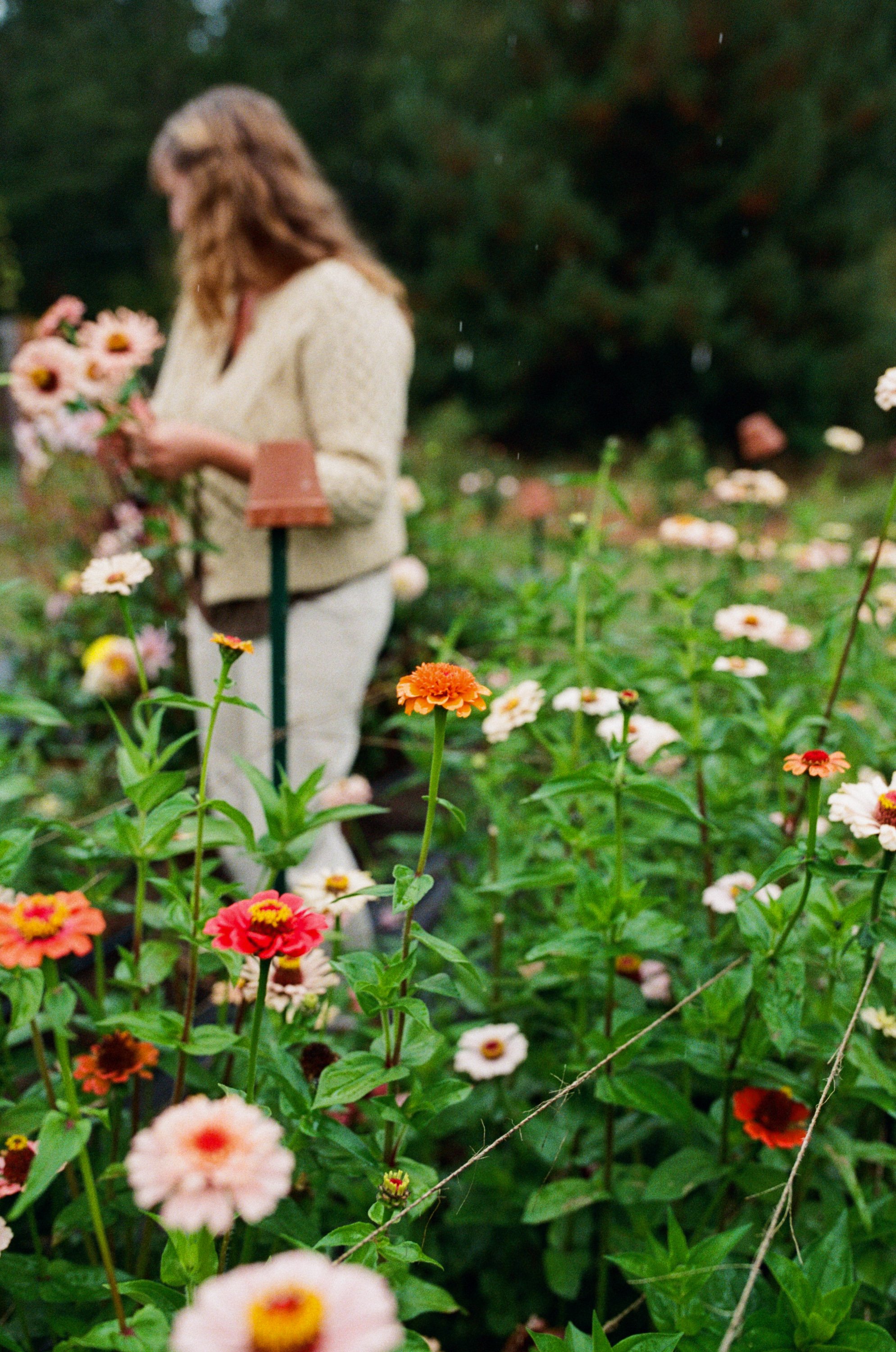 FabledFlora-13.jpg