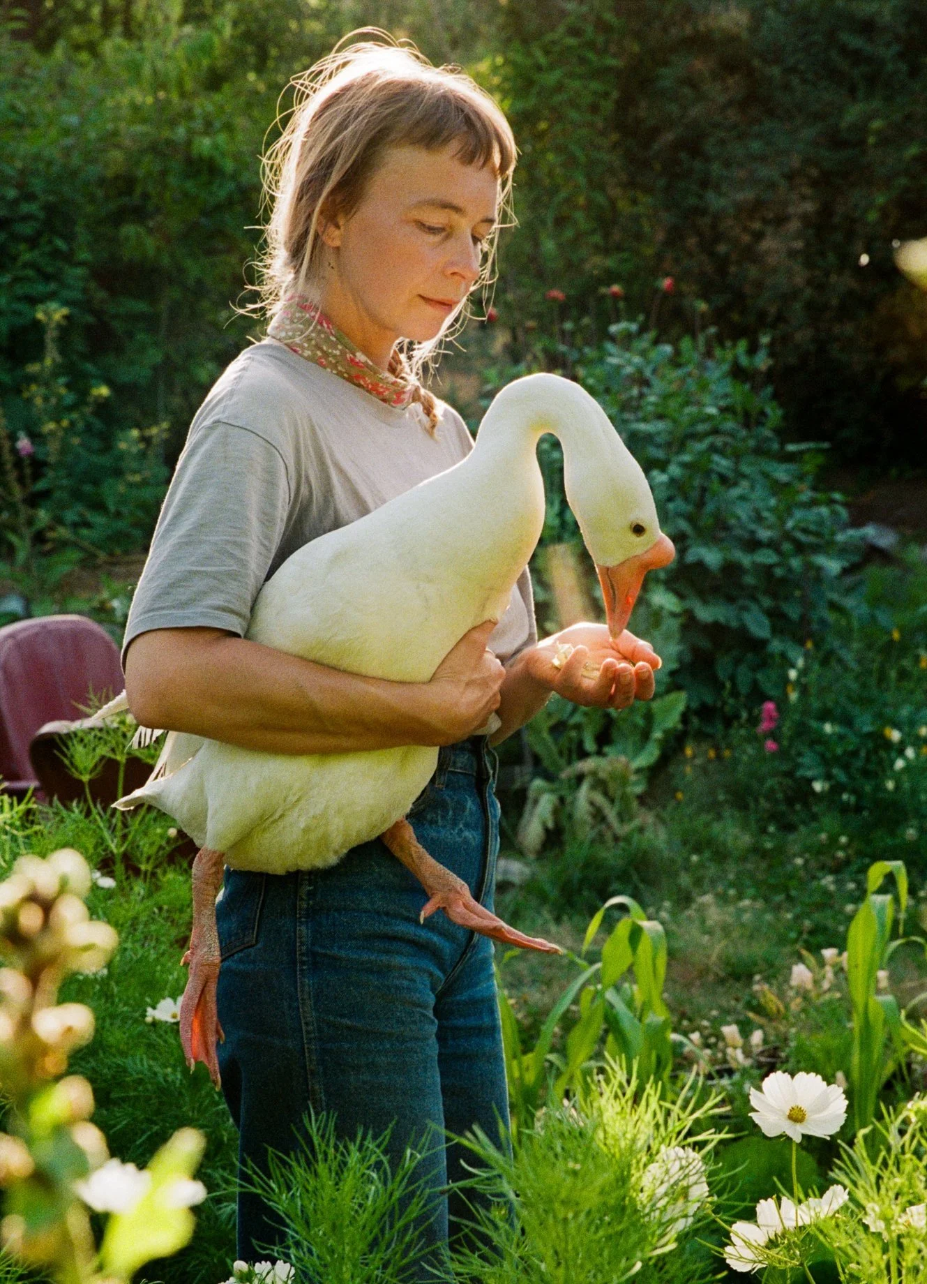 A woman holding a large white goose in a garden surrounded by greenery and flowers.