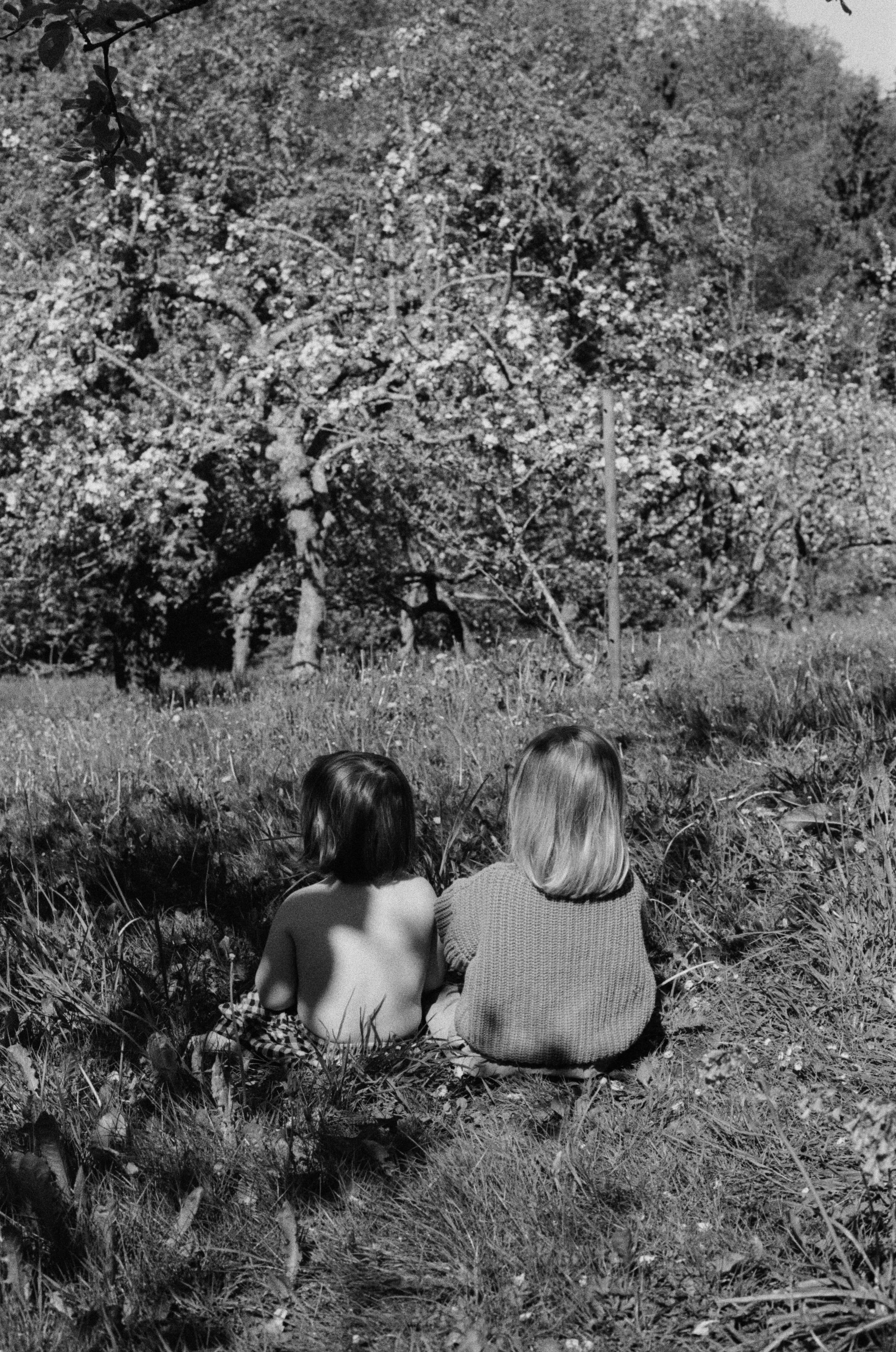 JuliaAriPhoebeSpring2026-84.jpg