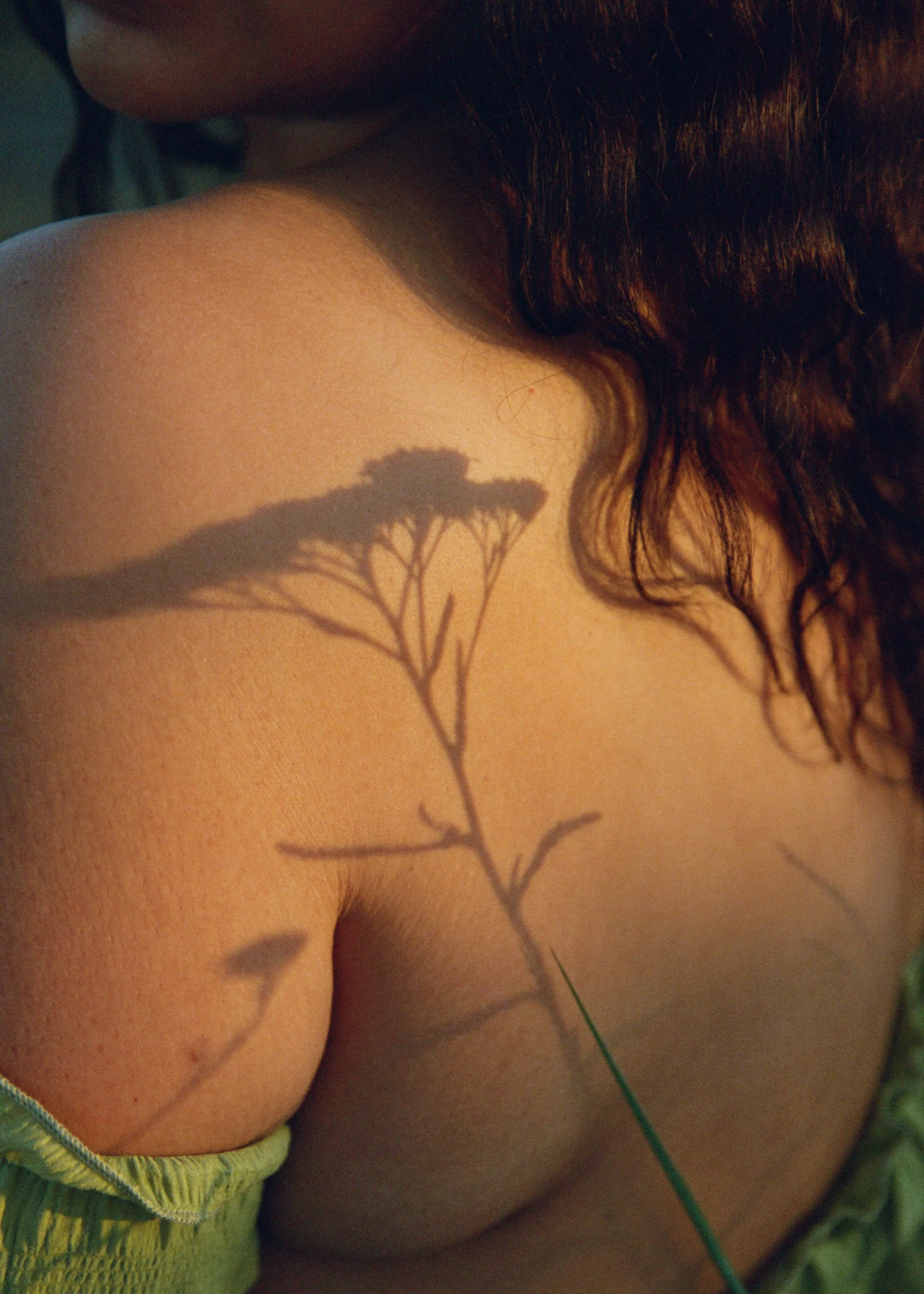 A woman's shoulder and upper back with a shadow of a plant cast on her skin, next to her curly brown hair.