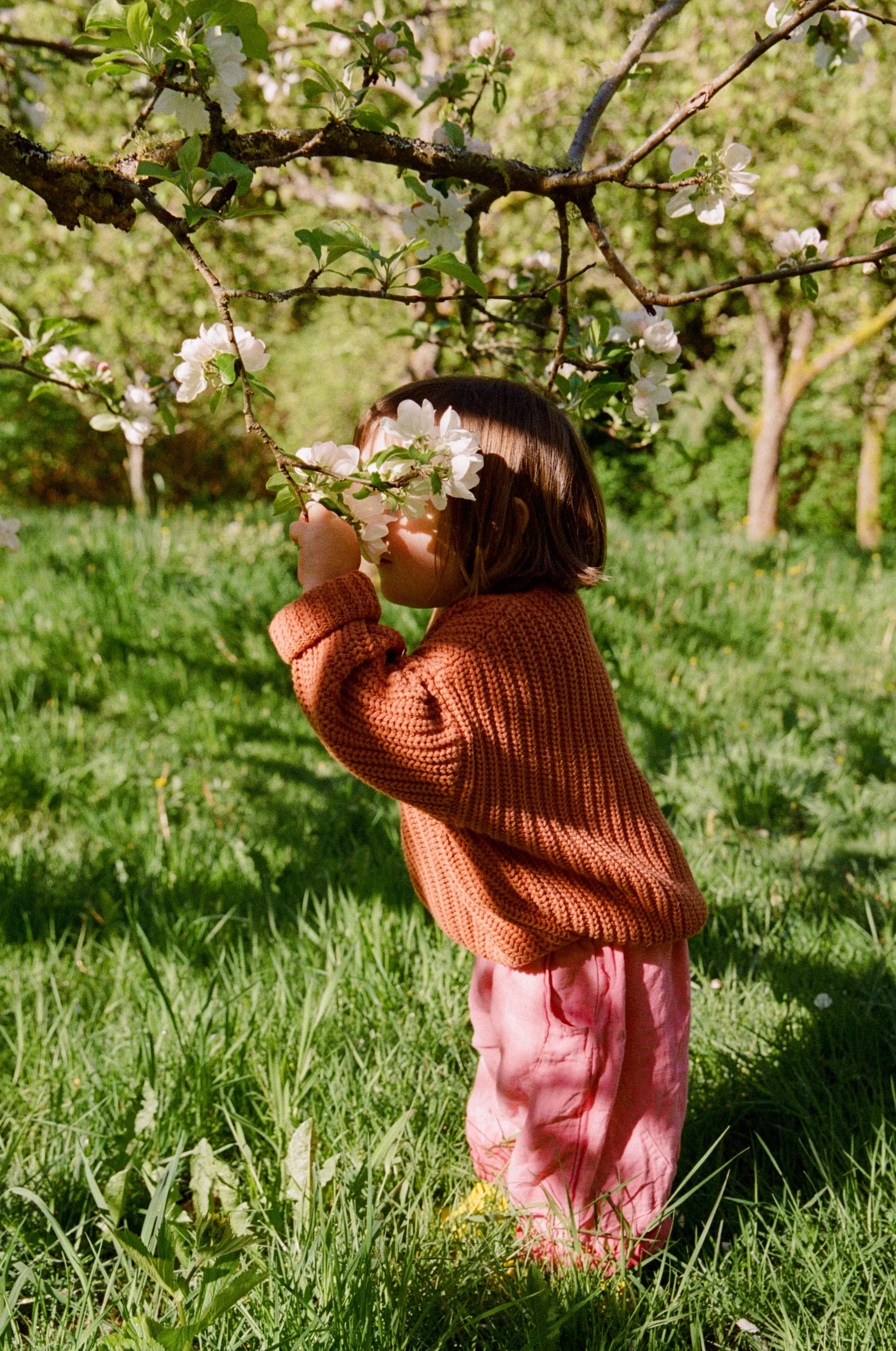 JuliaAriPhoebeSpring2026-16.jpg