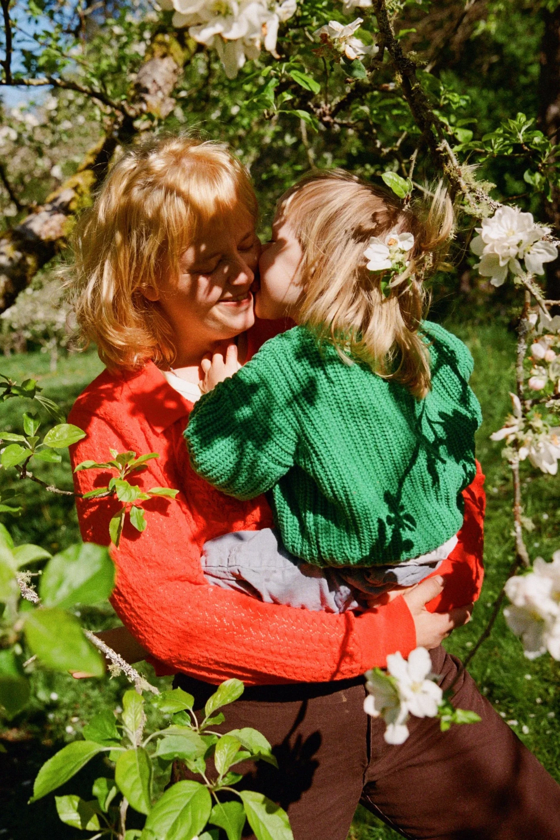 A person wearing an orange sweater holding a child in a green sweater among blooming branches of a flowering tree. By queer Seattle photographer Holly Stevens.