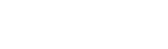 The Blind Donkey