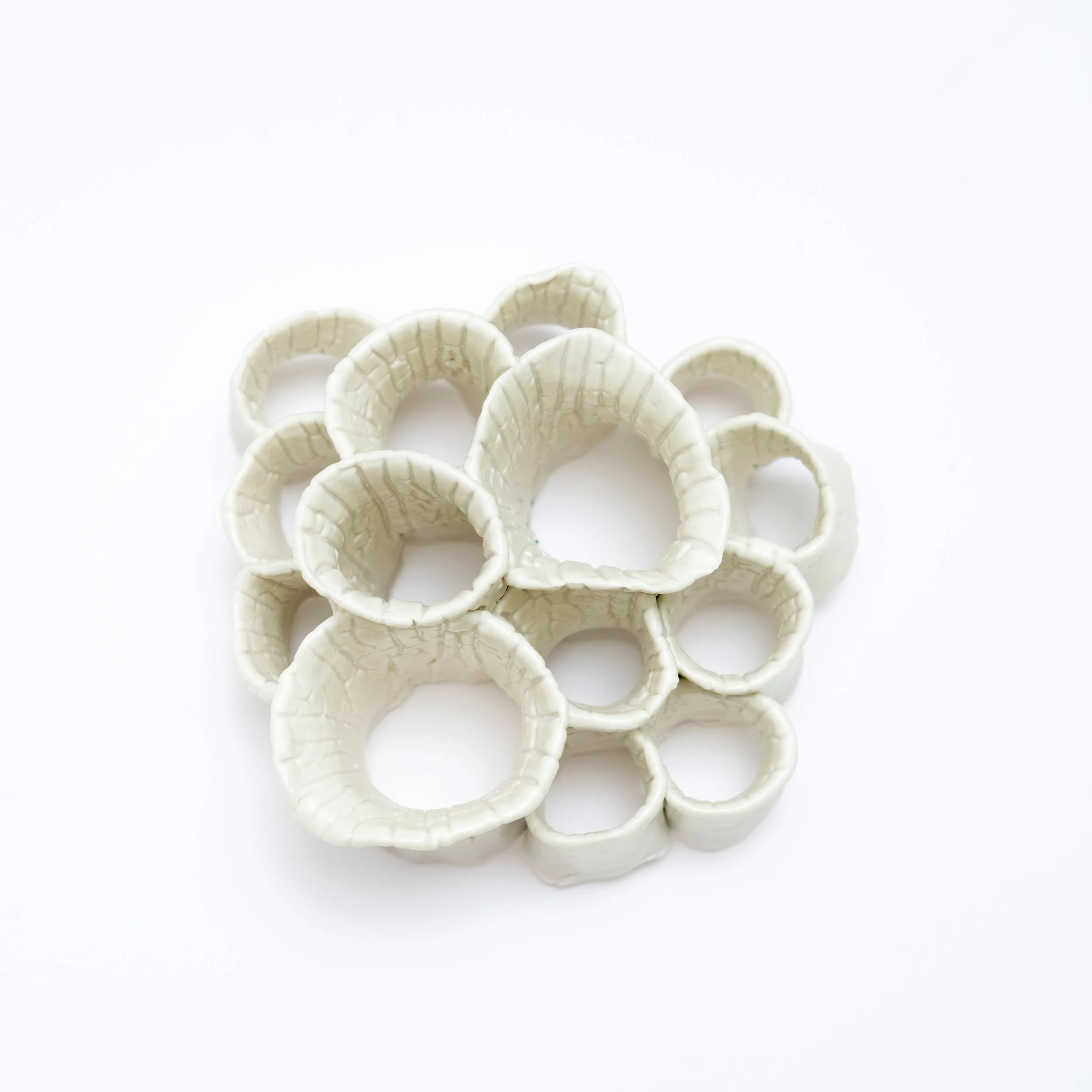 15 Crawl Cluster 2026 Jessamyn Go .jpg