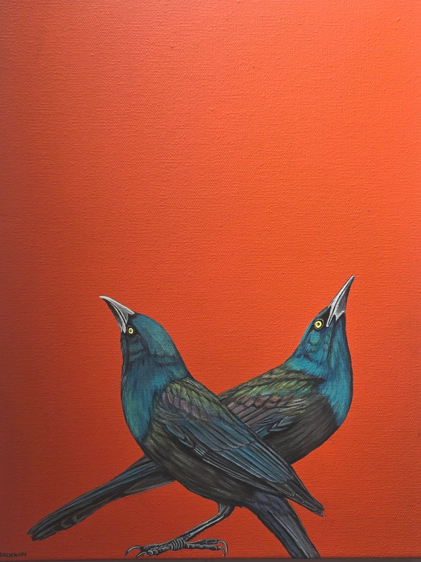 Common Grackles/Cadmium Orange