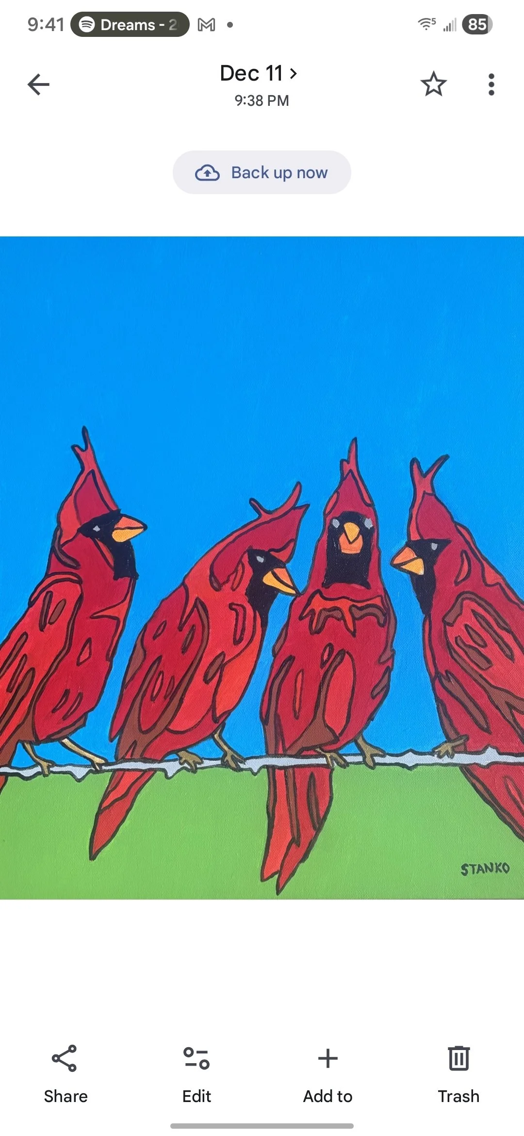 The Cardinal Chat