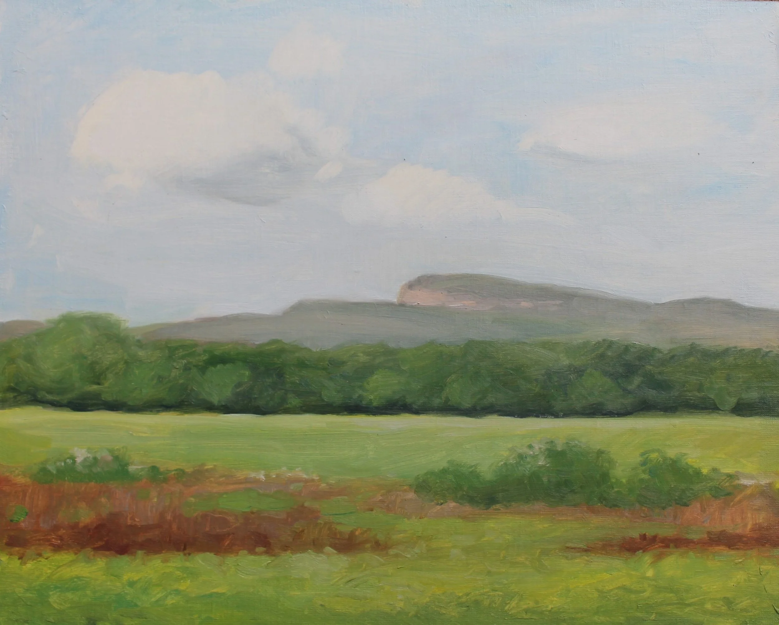 The-Gunks-16X20-2024 -Oil.jpg