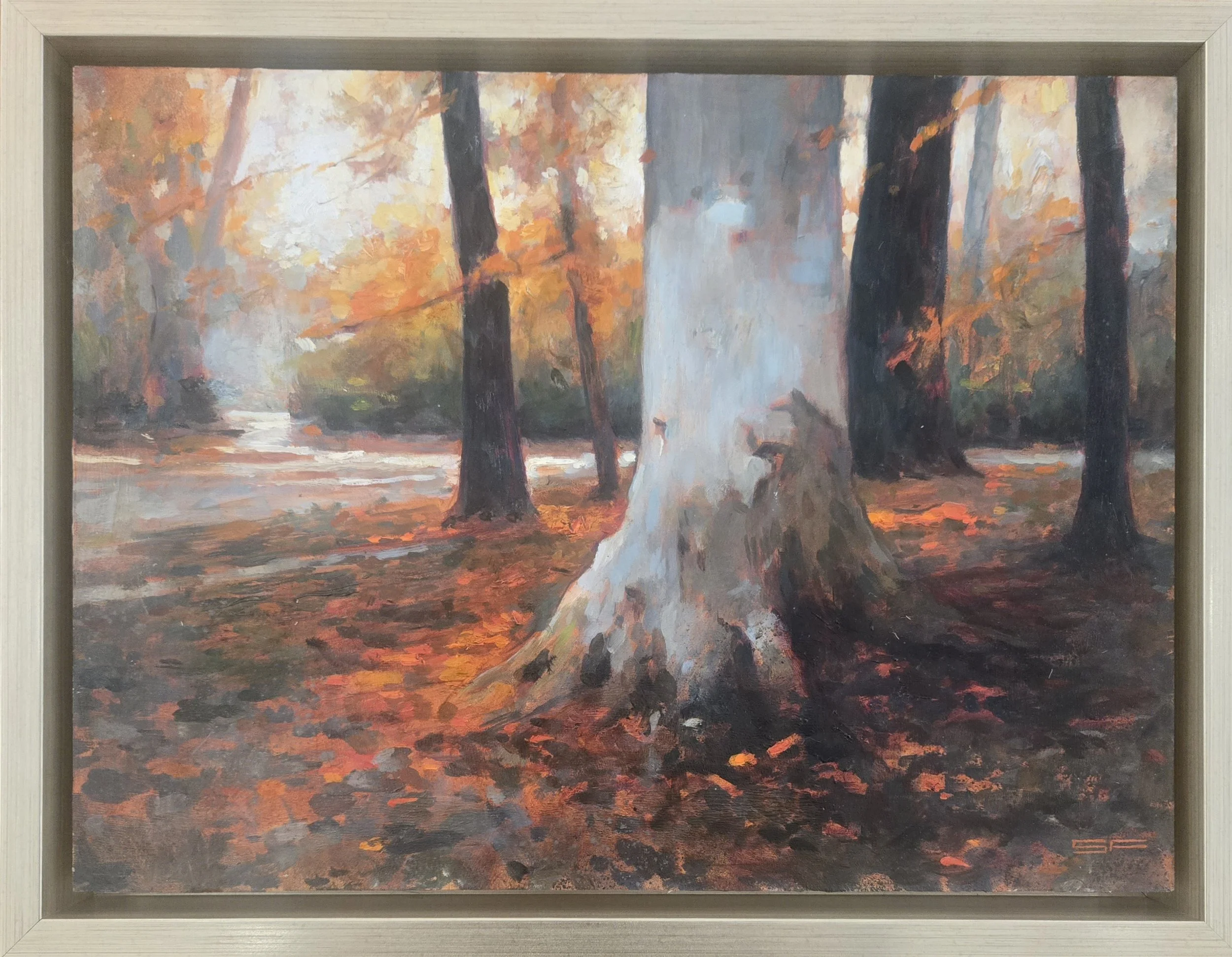 Bailey Arboretum - Locust Valley, NY