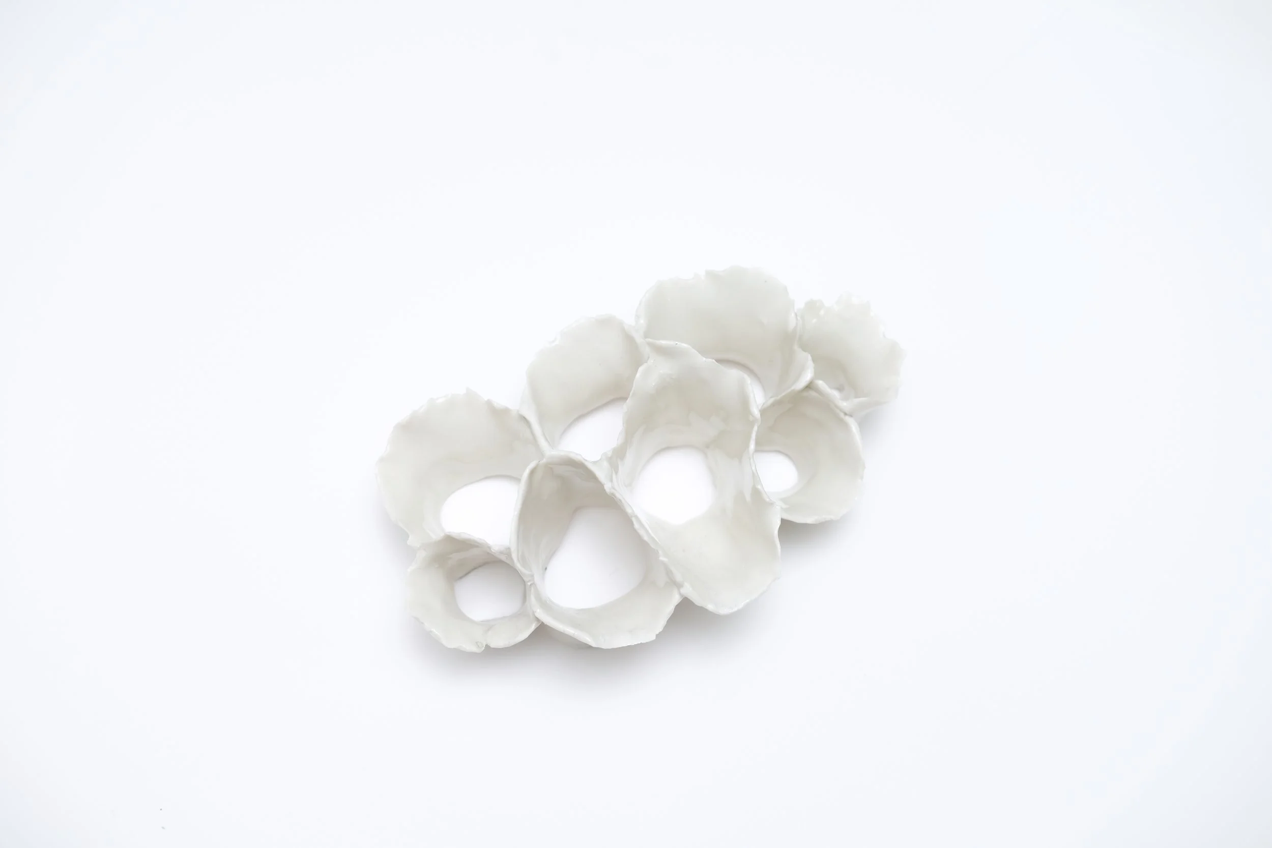 2 White Porcelain Cluster 2026 Jessamyn Go .jpg