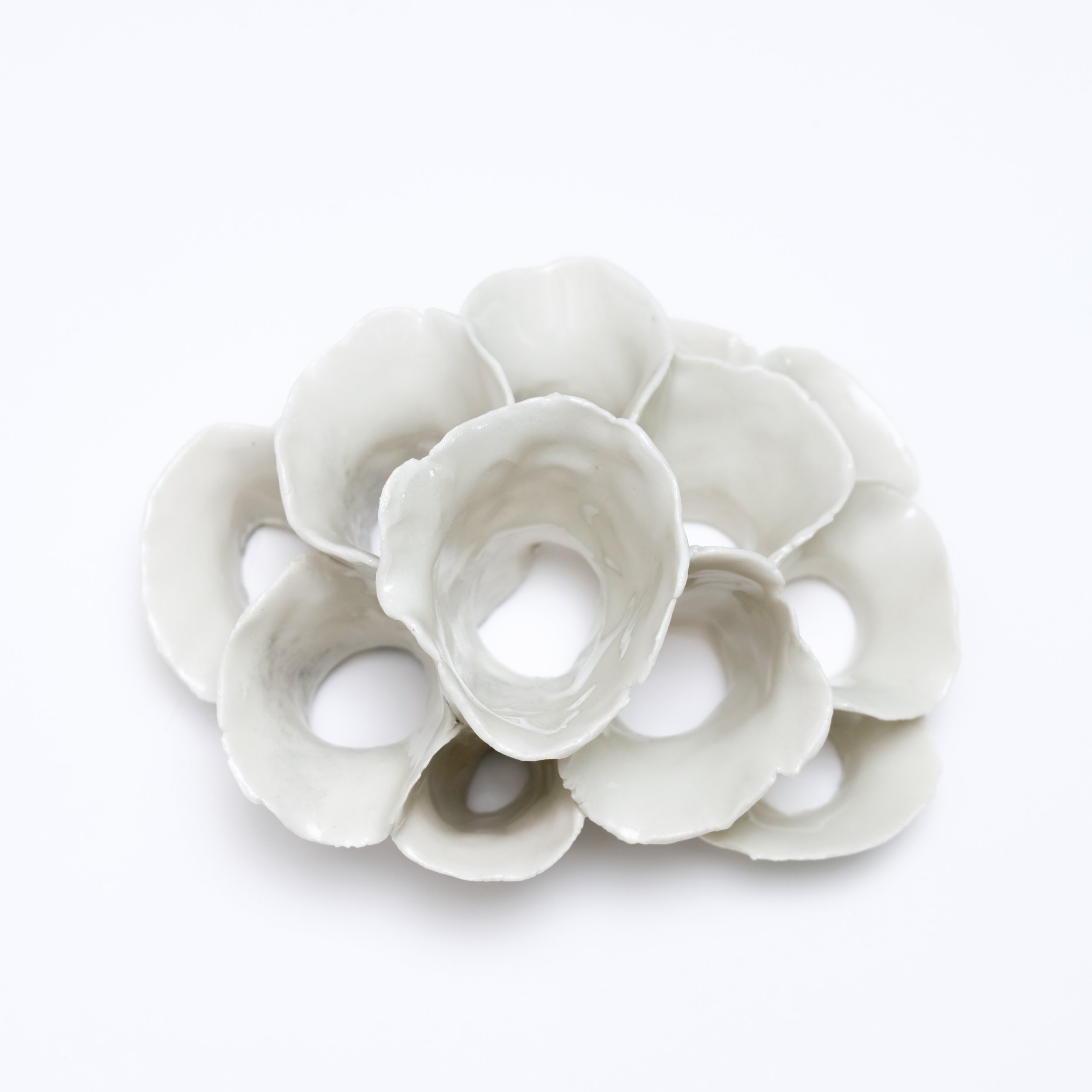 7 Porcelain Cluster 3 2026 Jessamyn Go -2.jpg