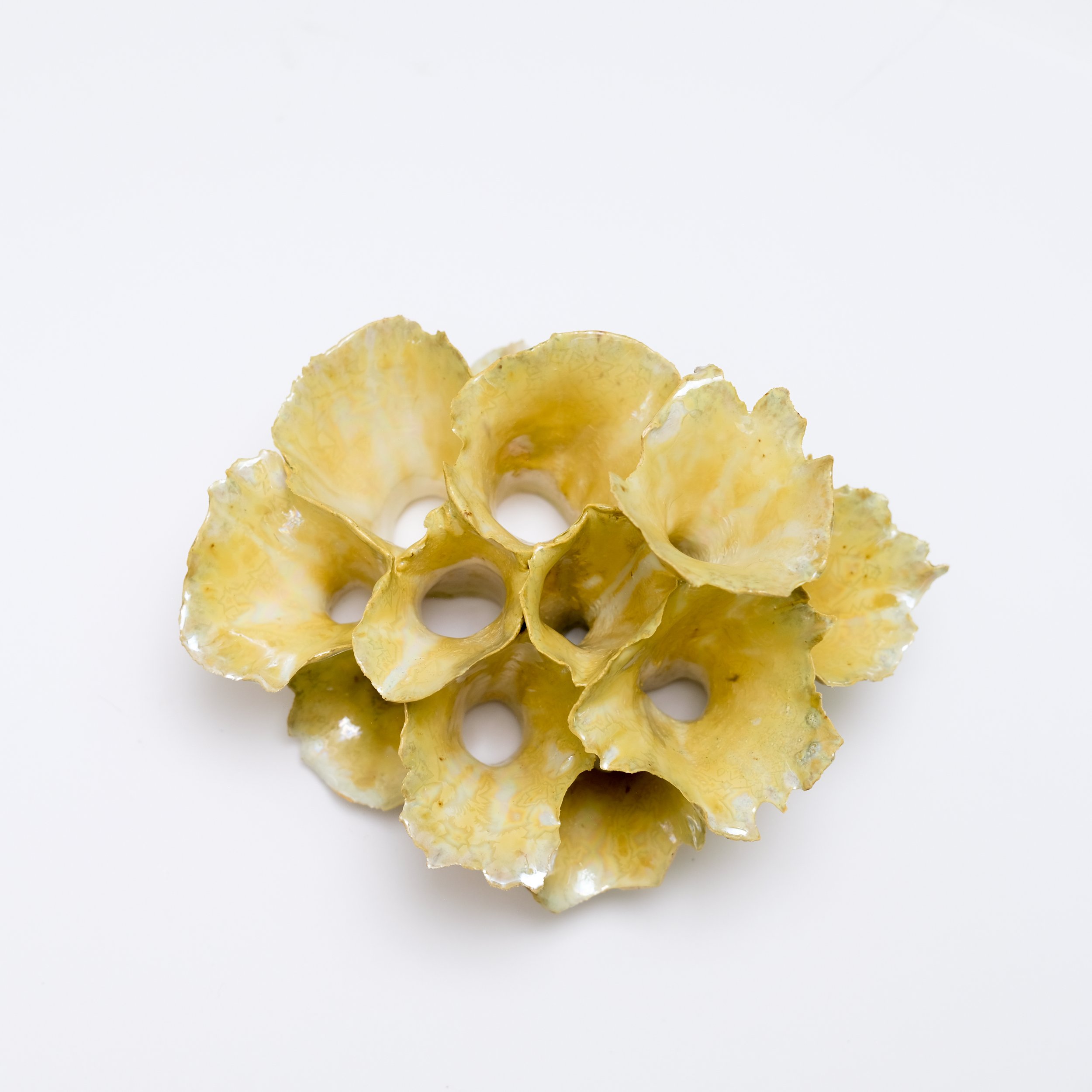 11 Pearl Cluster 2026 Jessamyn Go -18.jpg