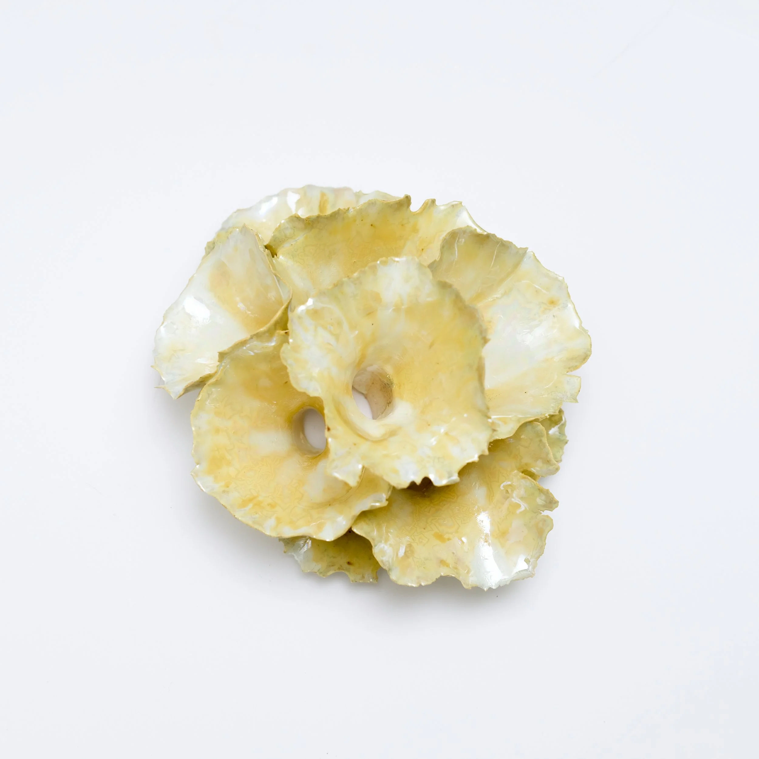 3 Pearl Cluster 2026 Jessamyn Go -14.jpg