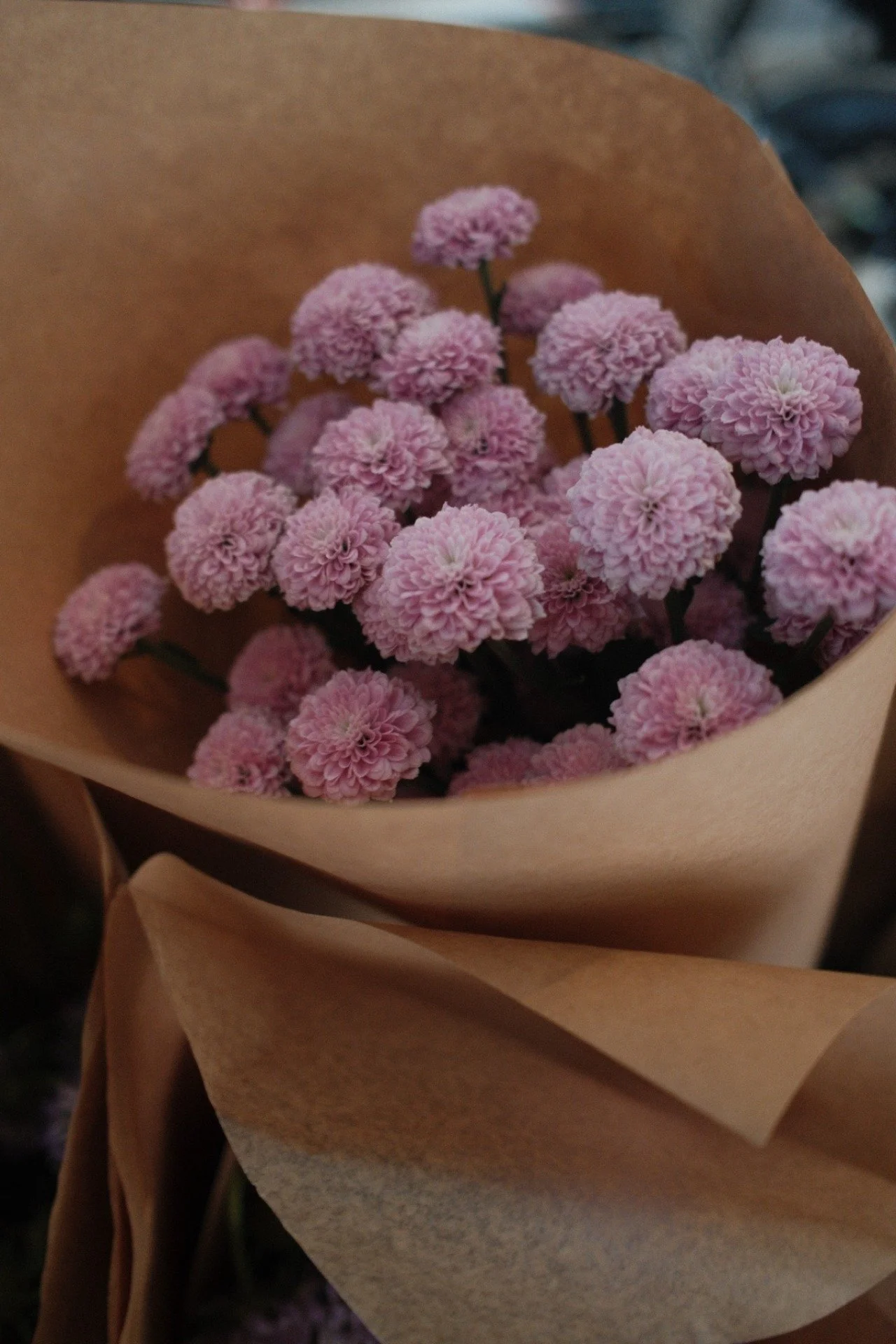 tumblr_ead1ecf8e3160ae0df21ae83b9afd2b4_92c78630_1280.jpg