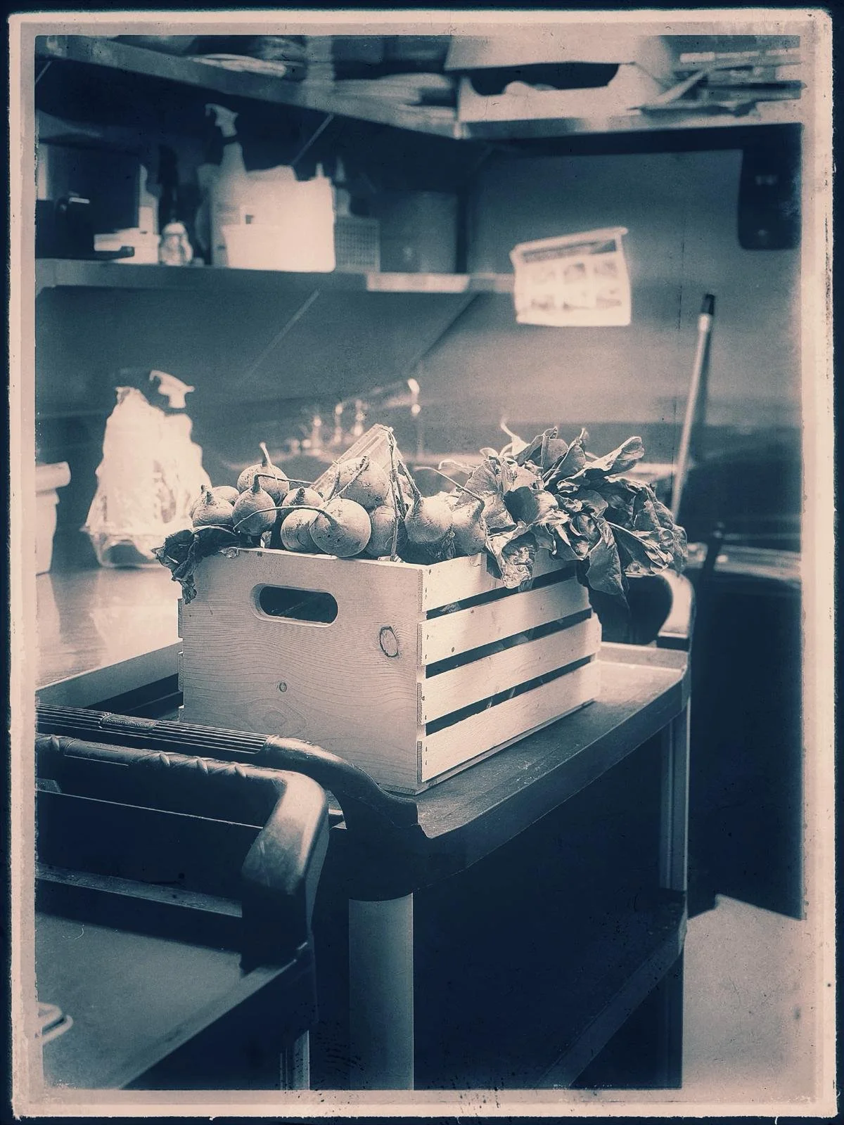 MG Photos Feb 11 (13).jpeg