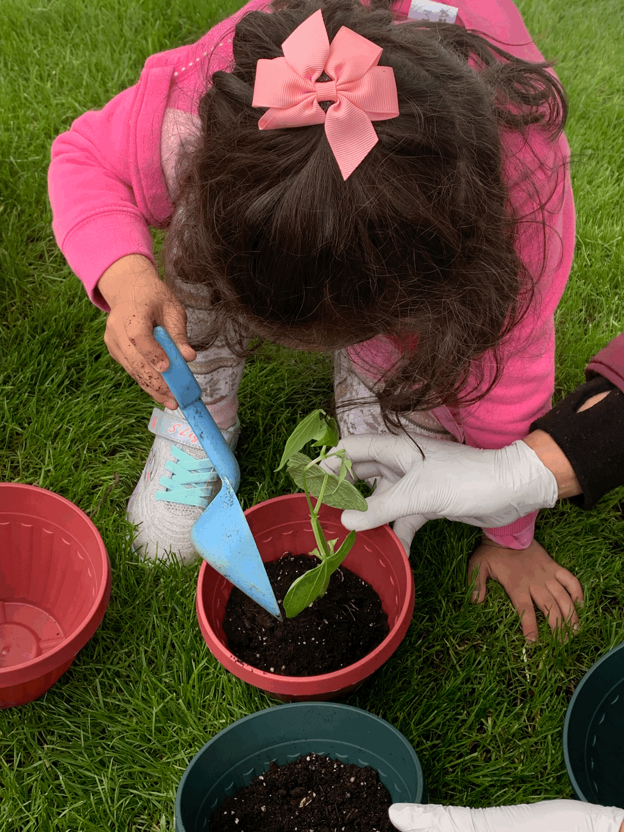 Sensory Activities