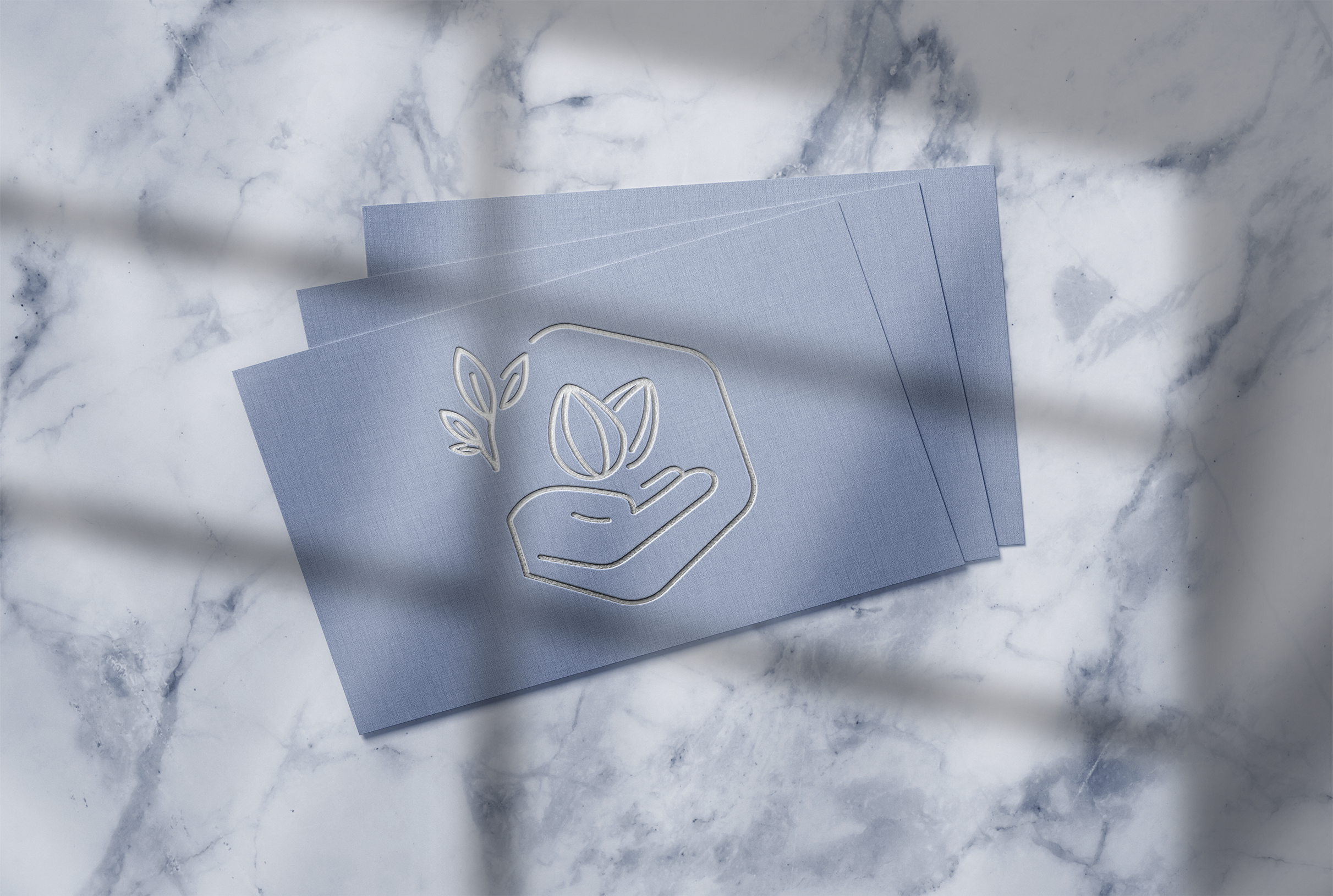 frontier logo mockup.png