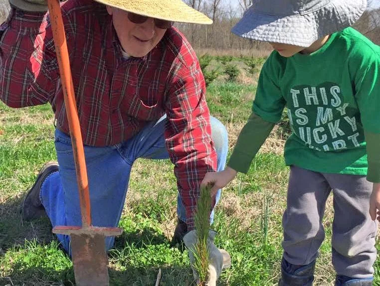 Heritage Valley Tree Farm - Missouri Grown Christmas Trees and Pecans