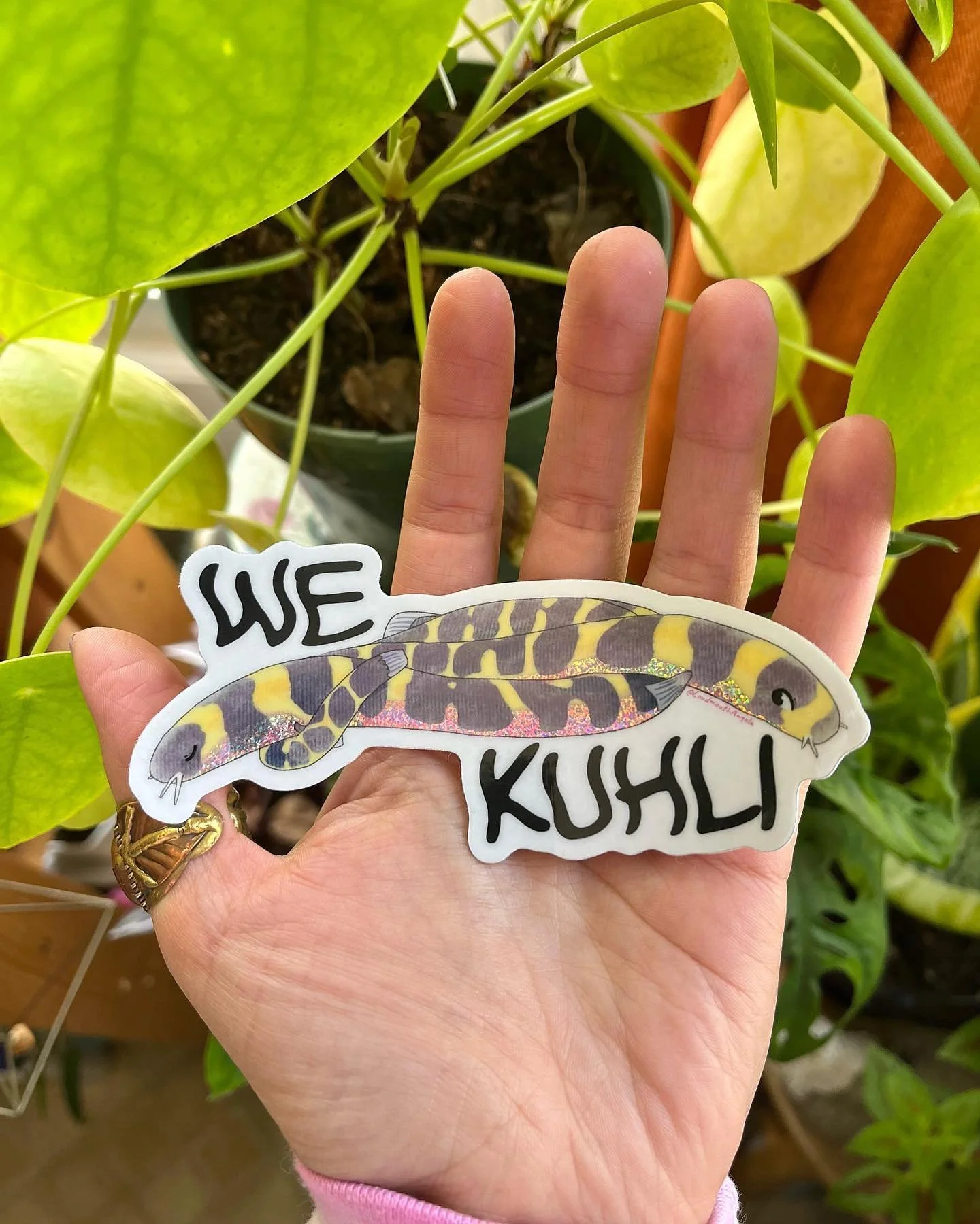 Kuhli (&ldquo;Coolie&rdquo;) Loaches are small, nocturnal fish that need to be in groups of at least 3-6 or else they get stressed out and unhealthy (relatable). And, they cuddle just like this.
.
These stickers are durable, highly glossy, UV protect
