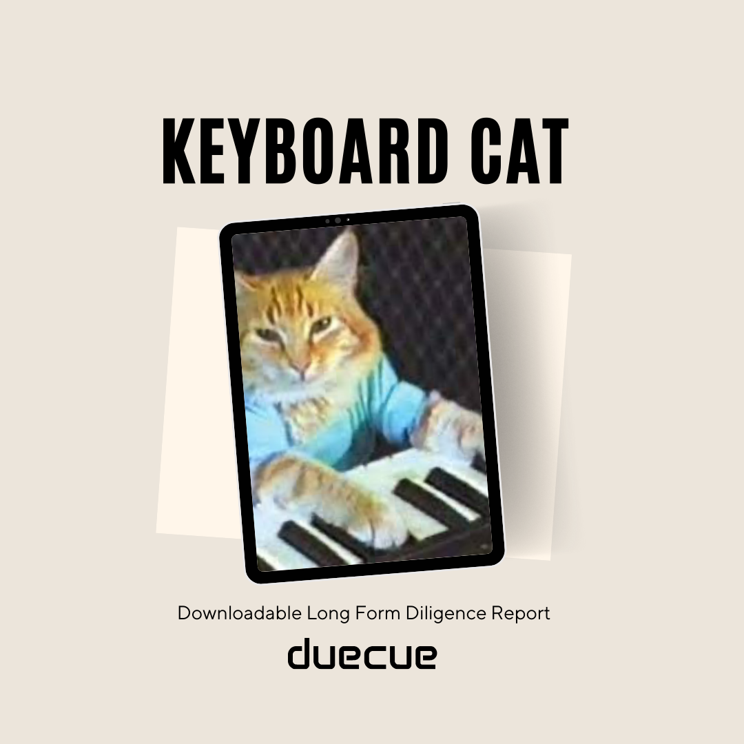 Keyboard Cat Mockup.png