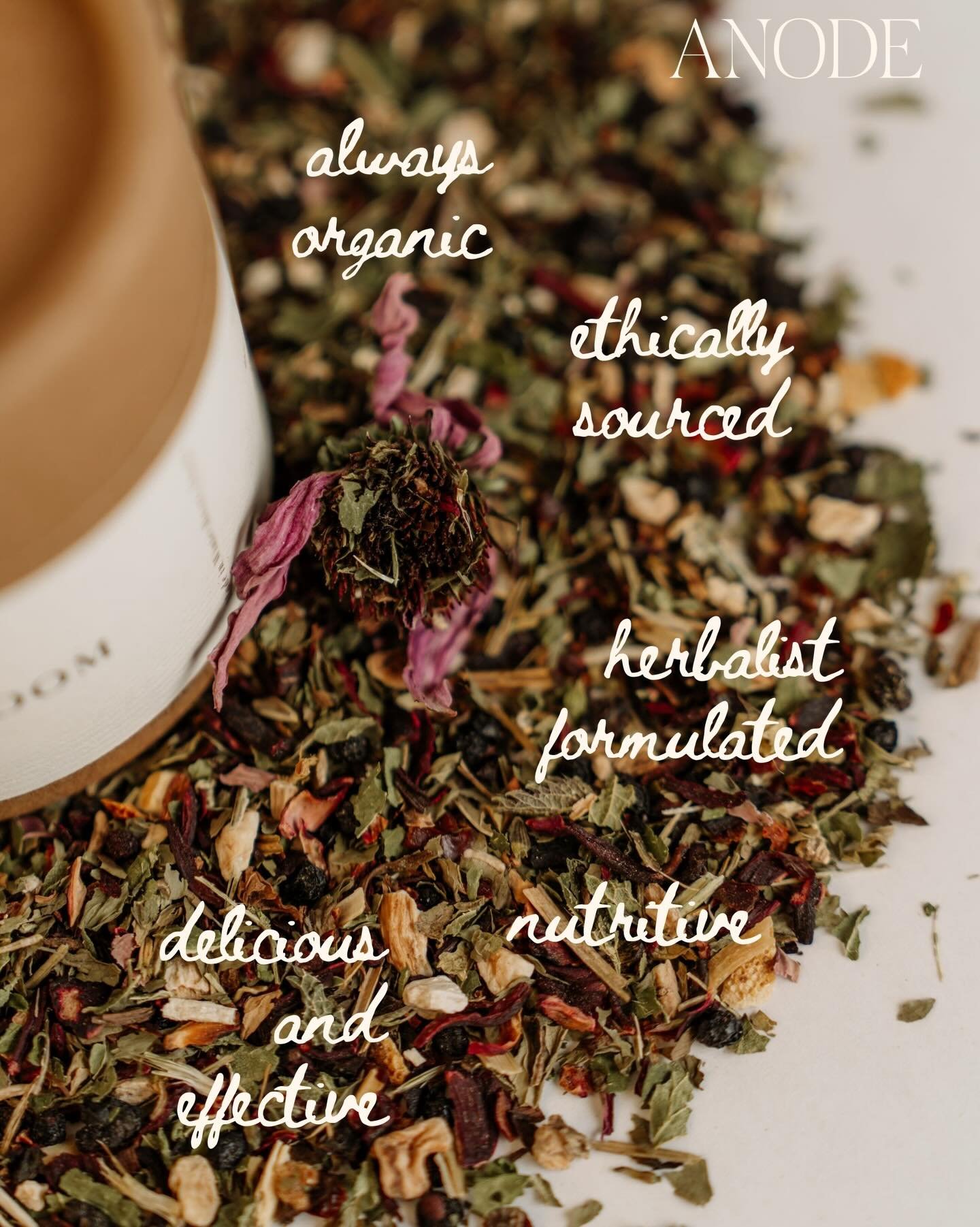 🫖Formulated to support your body and satisfy your taste buds. 

Every herbal tea blend at ANODE is always organic, crafted with ethically sourced herbs that are primarily chosen from small farms in the US and everything is formulated by yours truly,