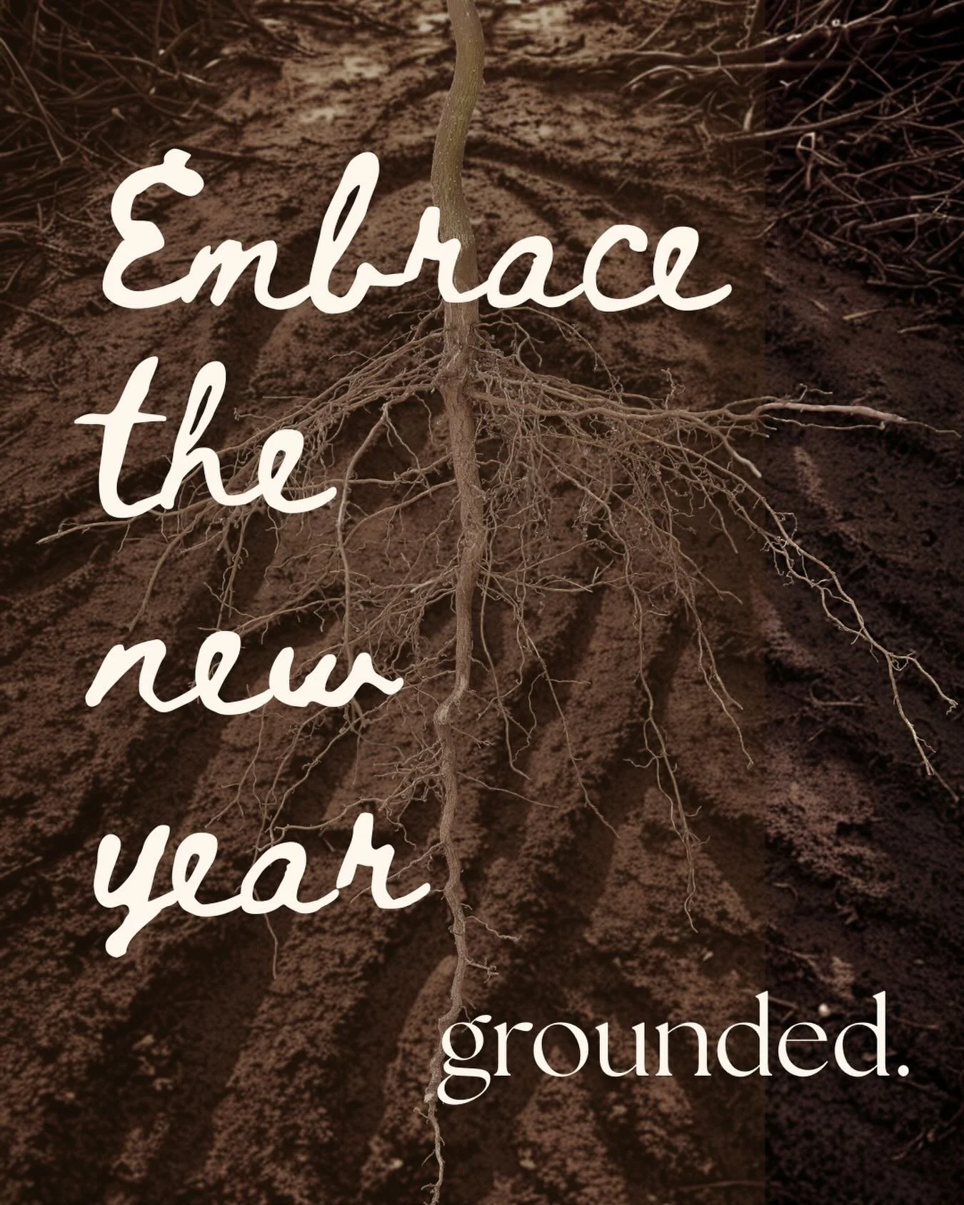 We will be taking a brief pause on markets, and will be back to in person events at the @winterhavenfarmersmarket on March 7th. 

Online apothecary, shipping options and free local deliveries are still open.

Thanks so much for supporting a mama owne