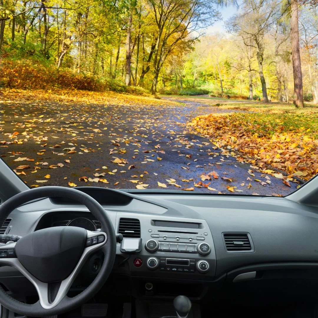 Road covered in yellow leaves. Autumn.